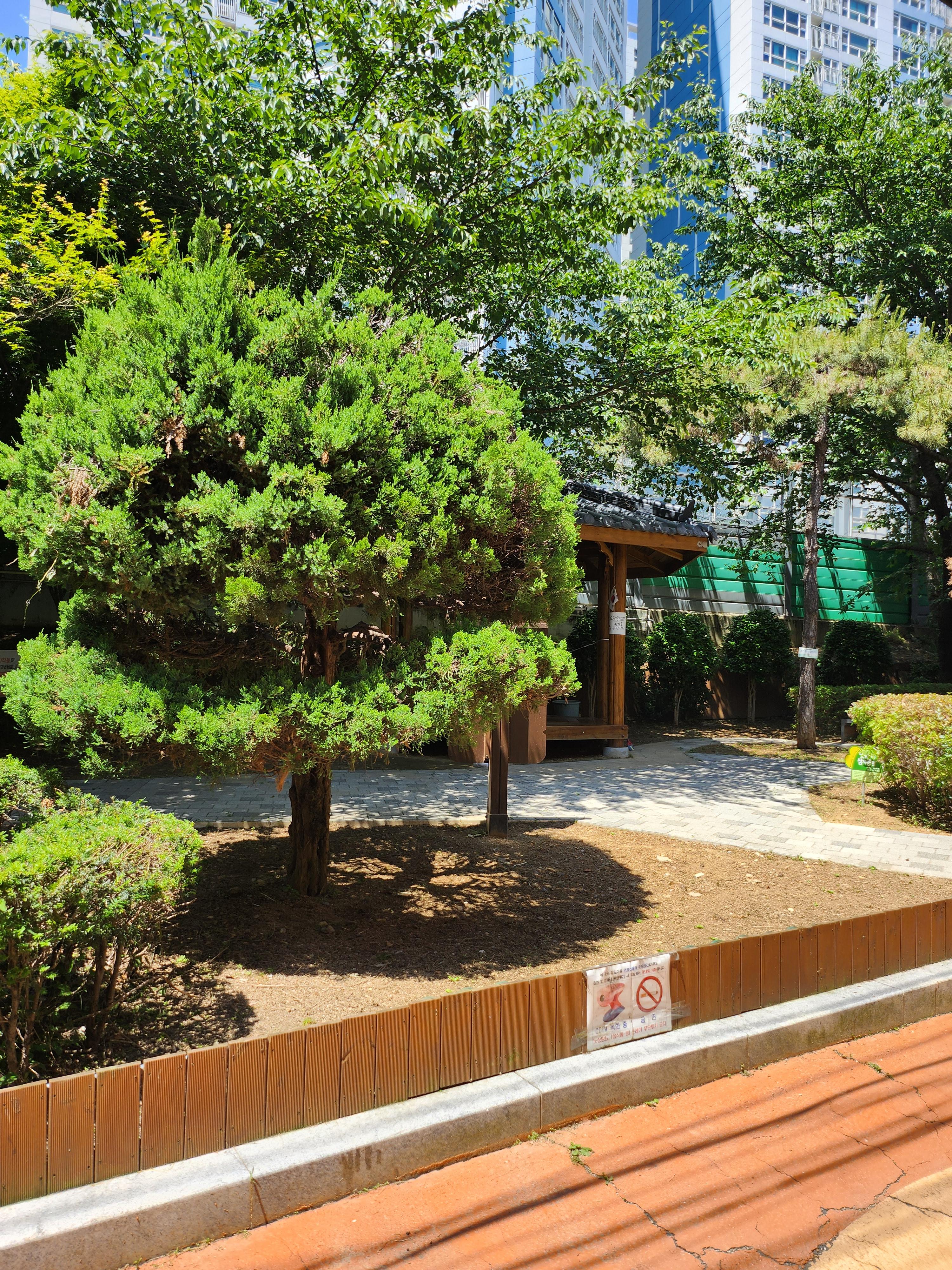 부암동 실거주자 사진 1