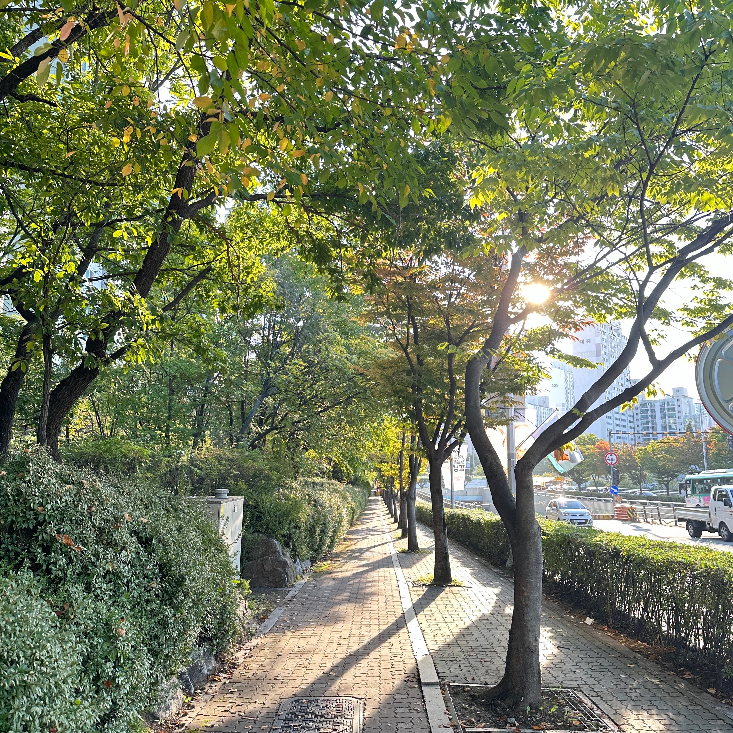 당동 실거주자 사진 2