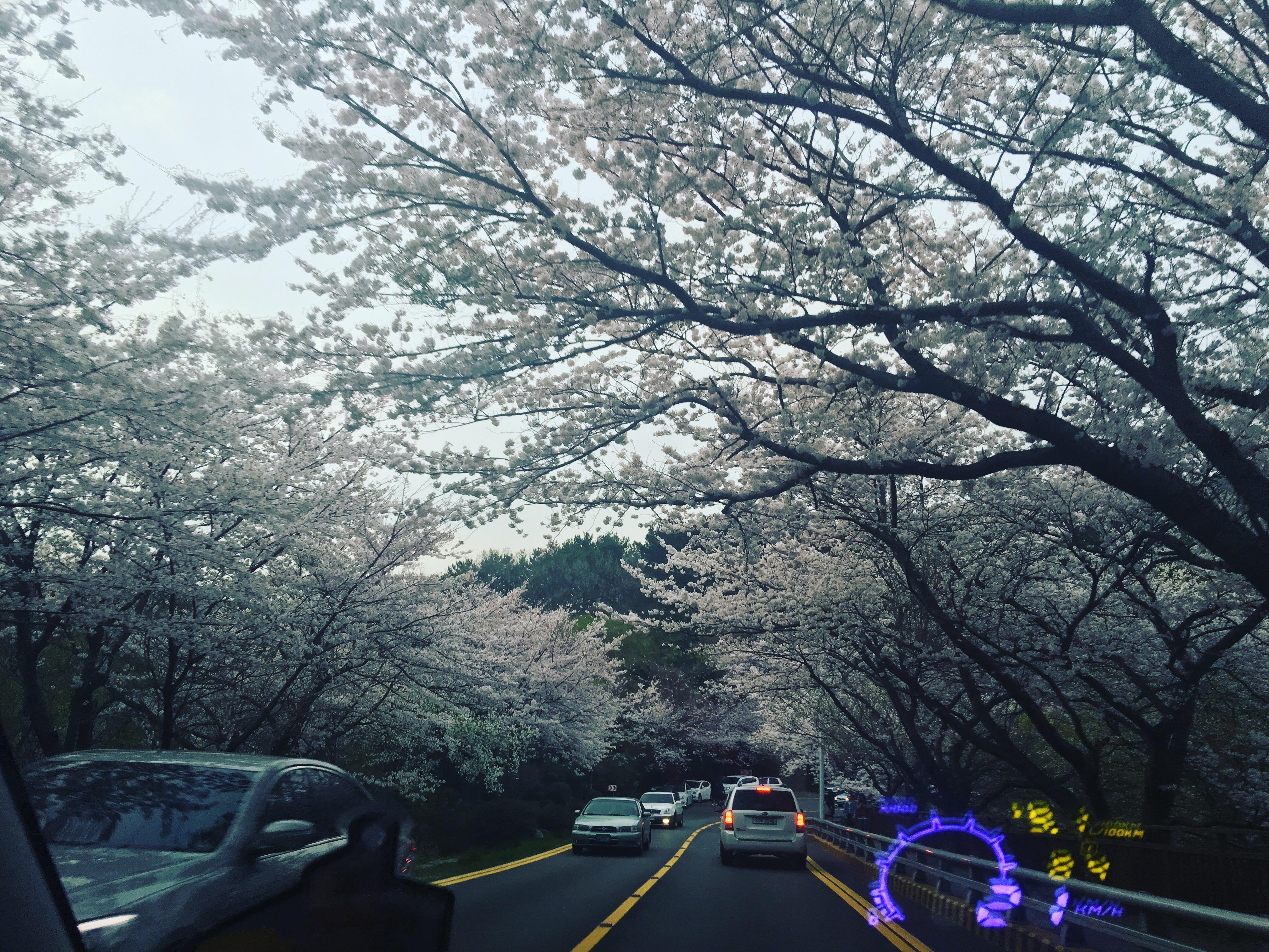 좌동 실거주자 사진 3