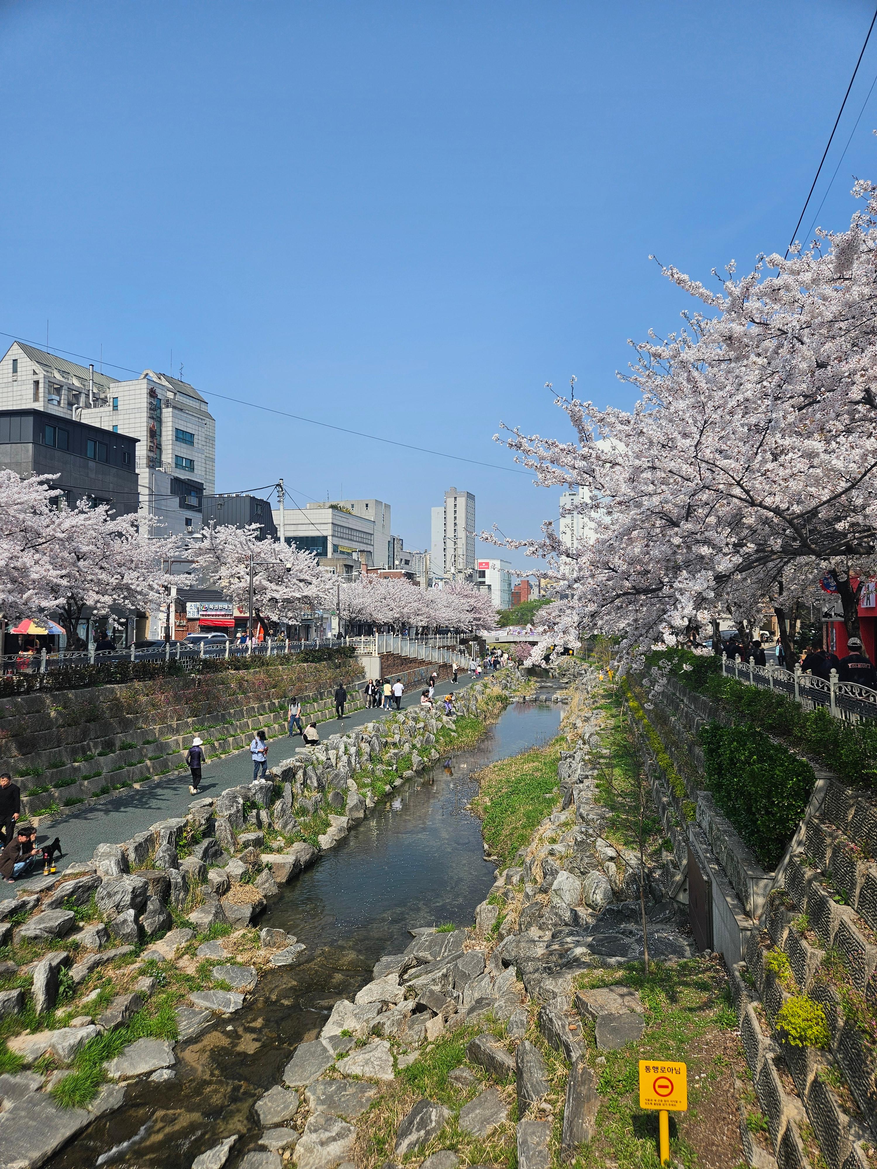 삼선동5가 실거주자 사진 1