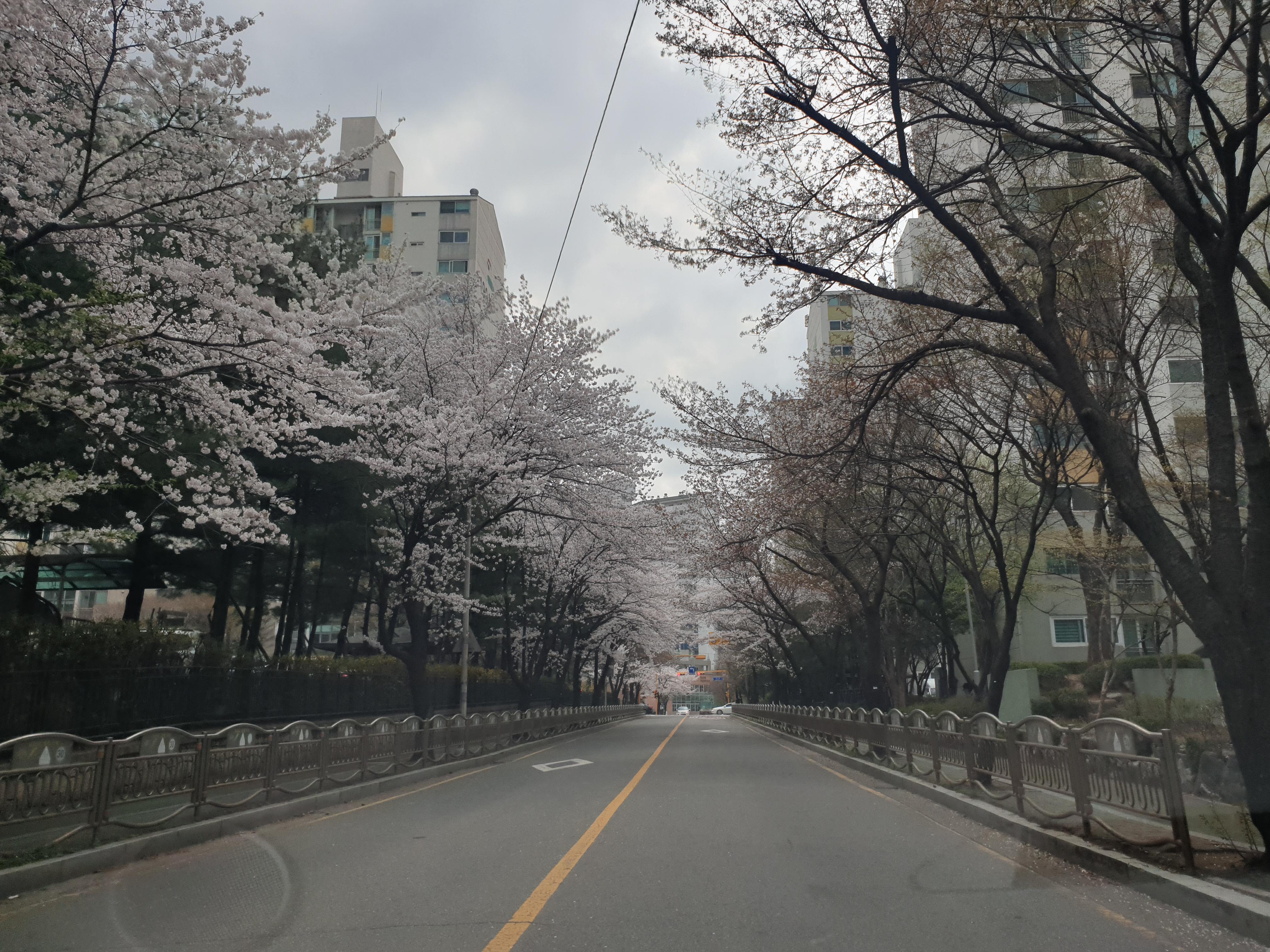 행신동 실거주자 사진 3