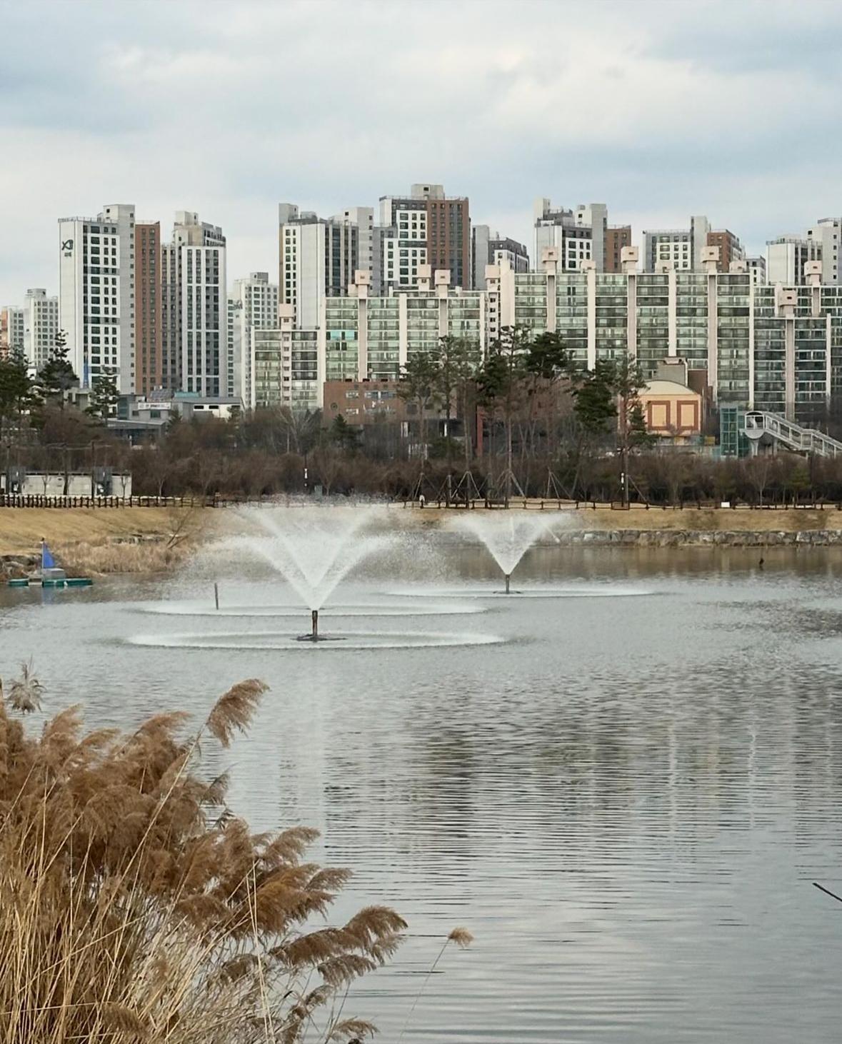 동삭동 실거주자 사진 2