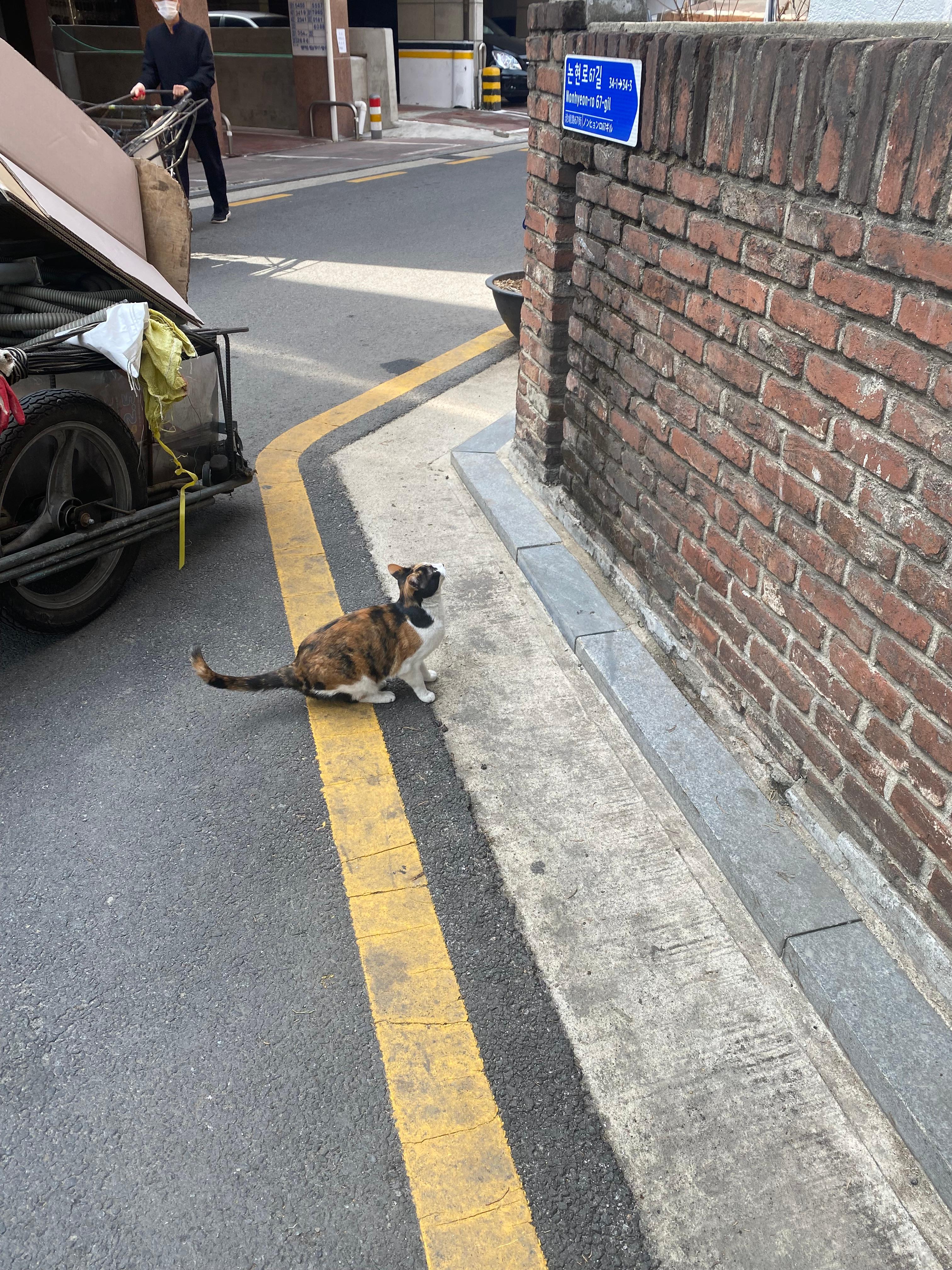 역삼동 실거주자 사진 2