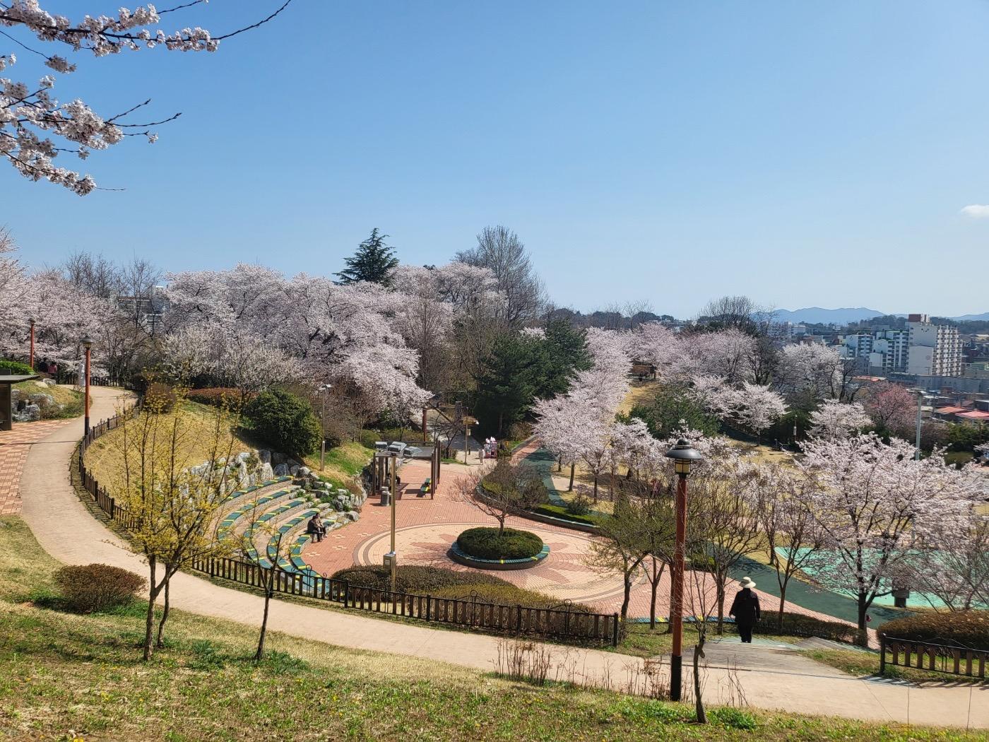 대화동 실거주자 사진 2