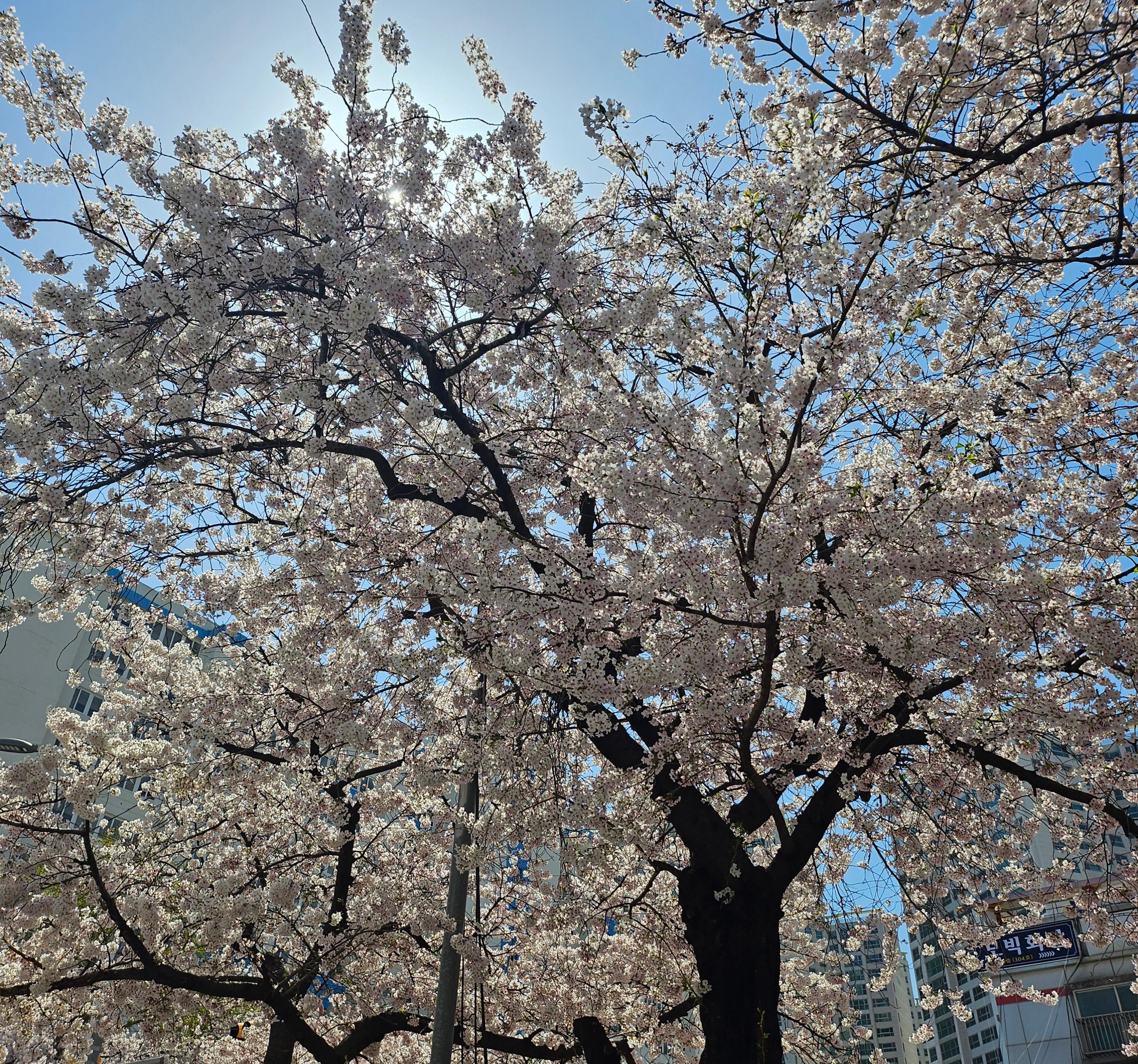 덕천동 실거주자 사진 1