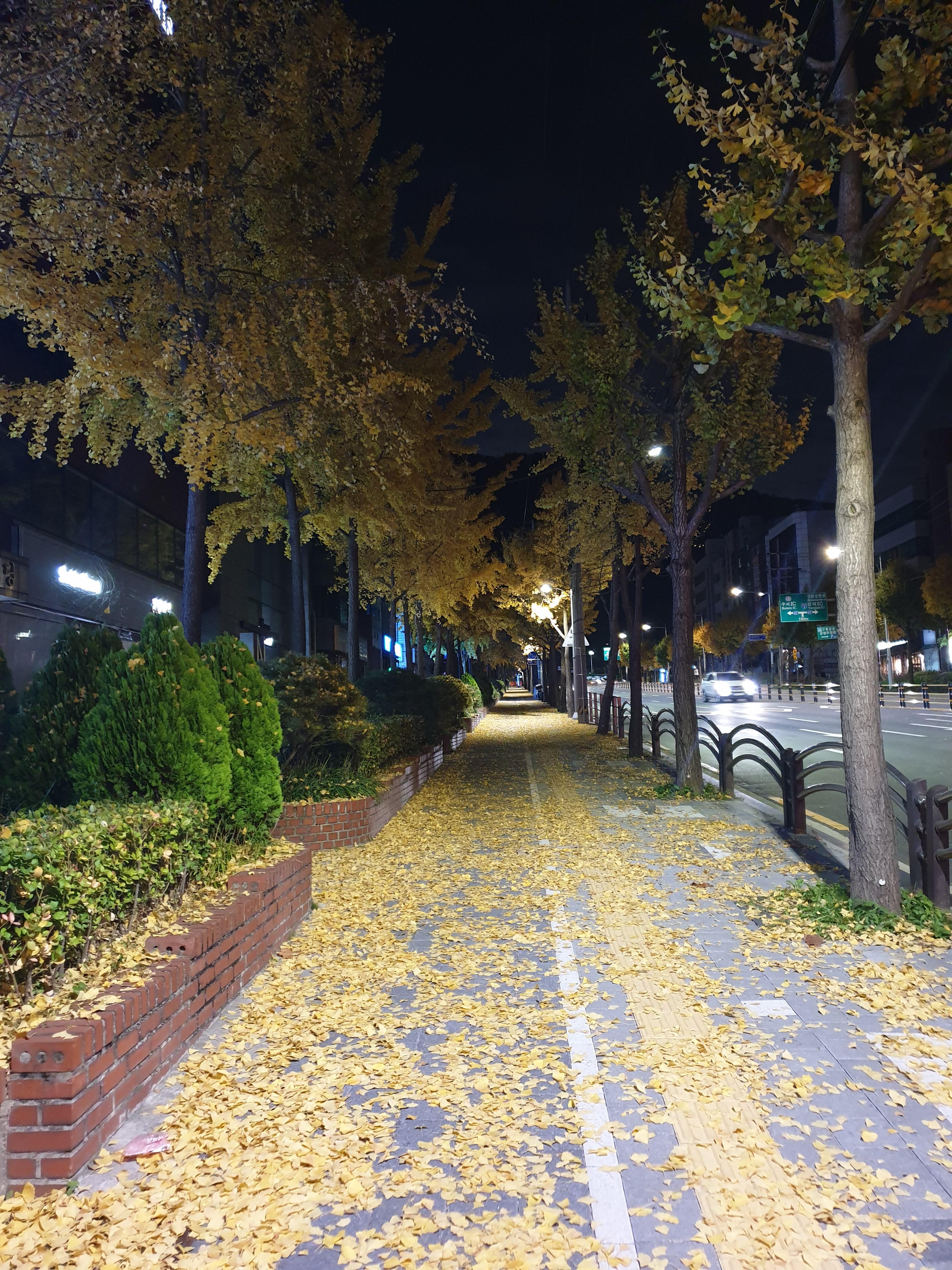 개포동 실거주자 사진 3
