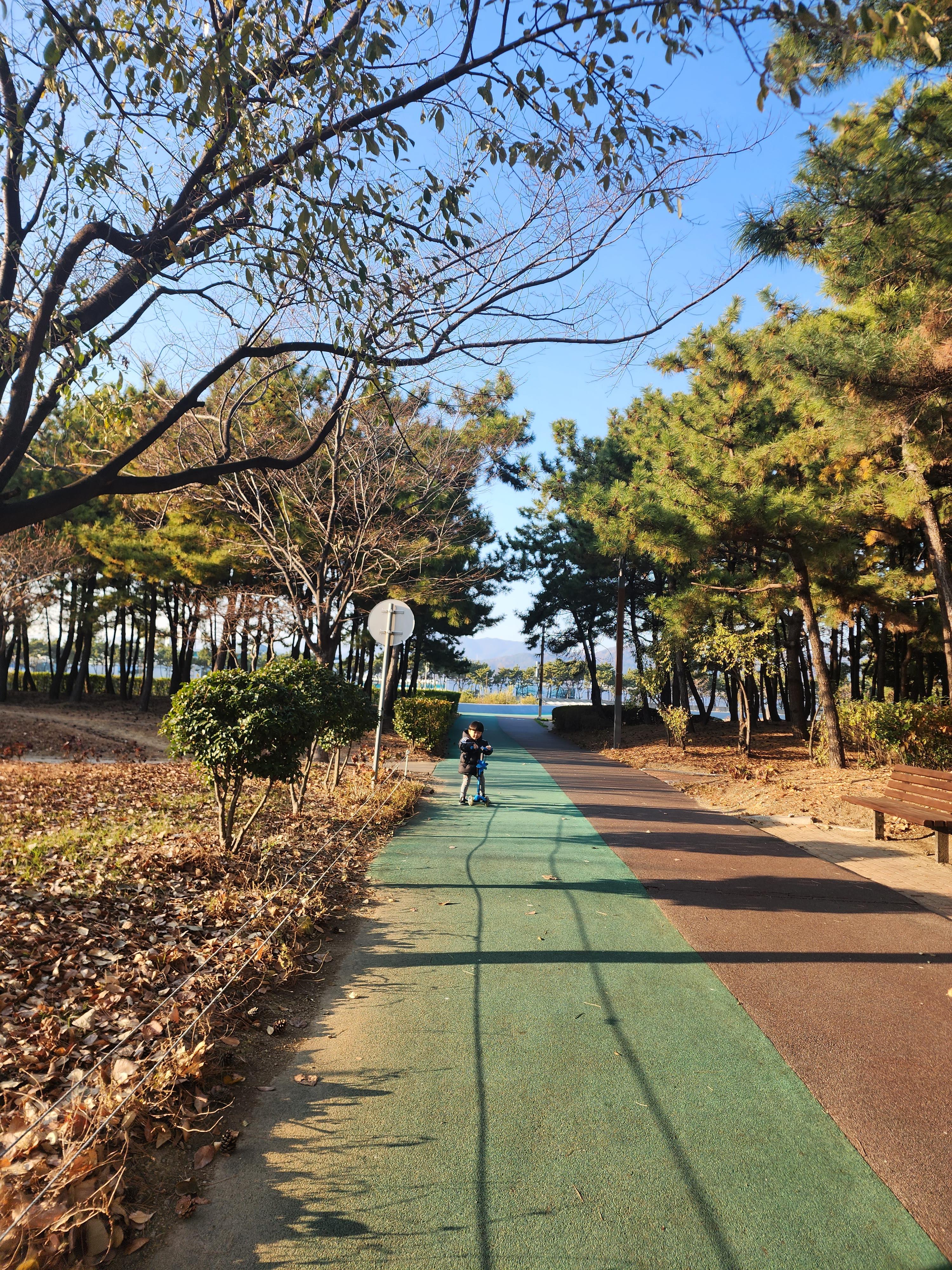 신호동 실거주자 사진 2