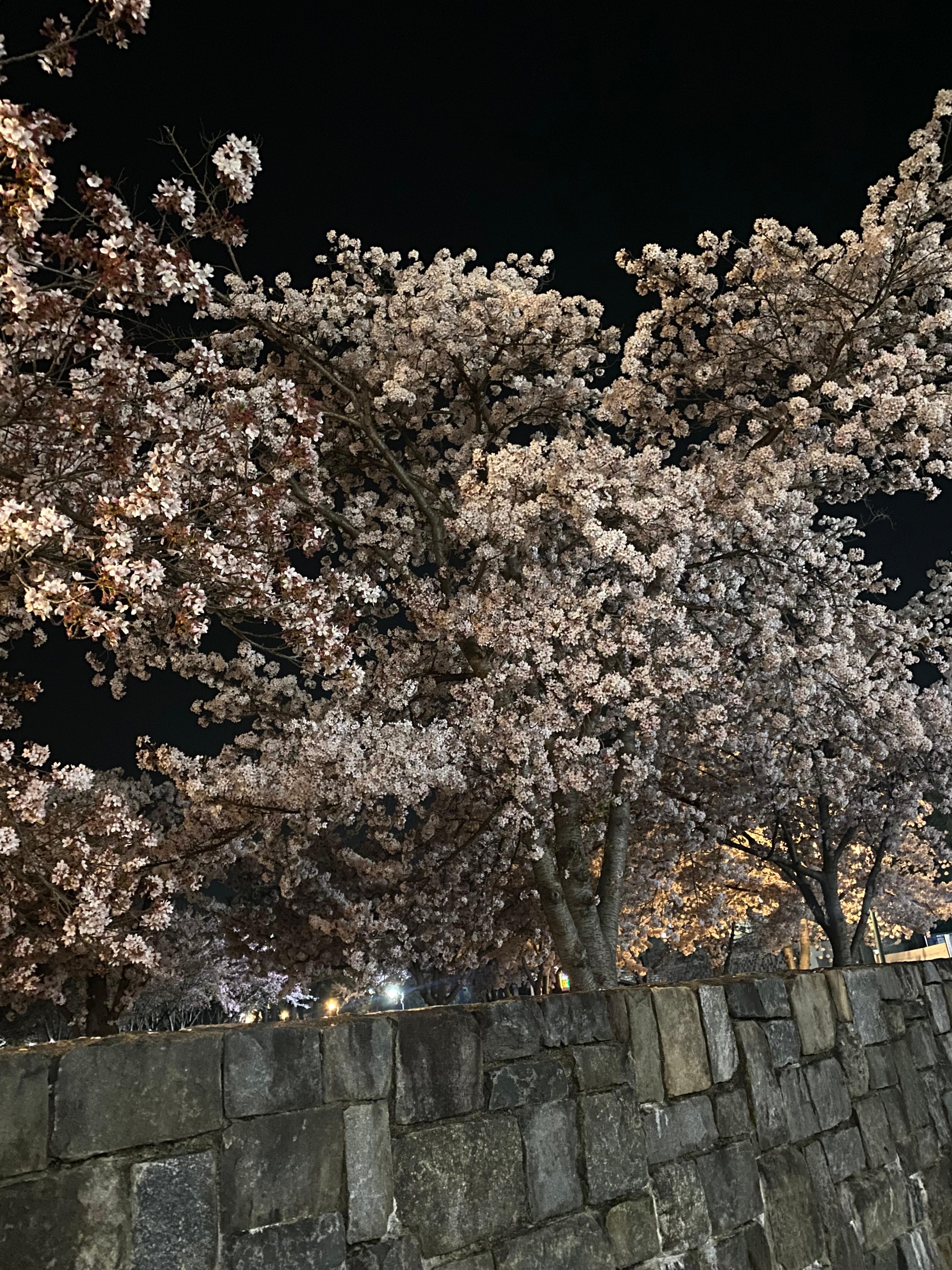 전포동 실거주자 사진 3