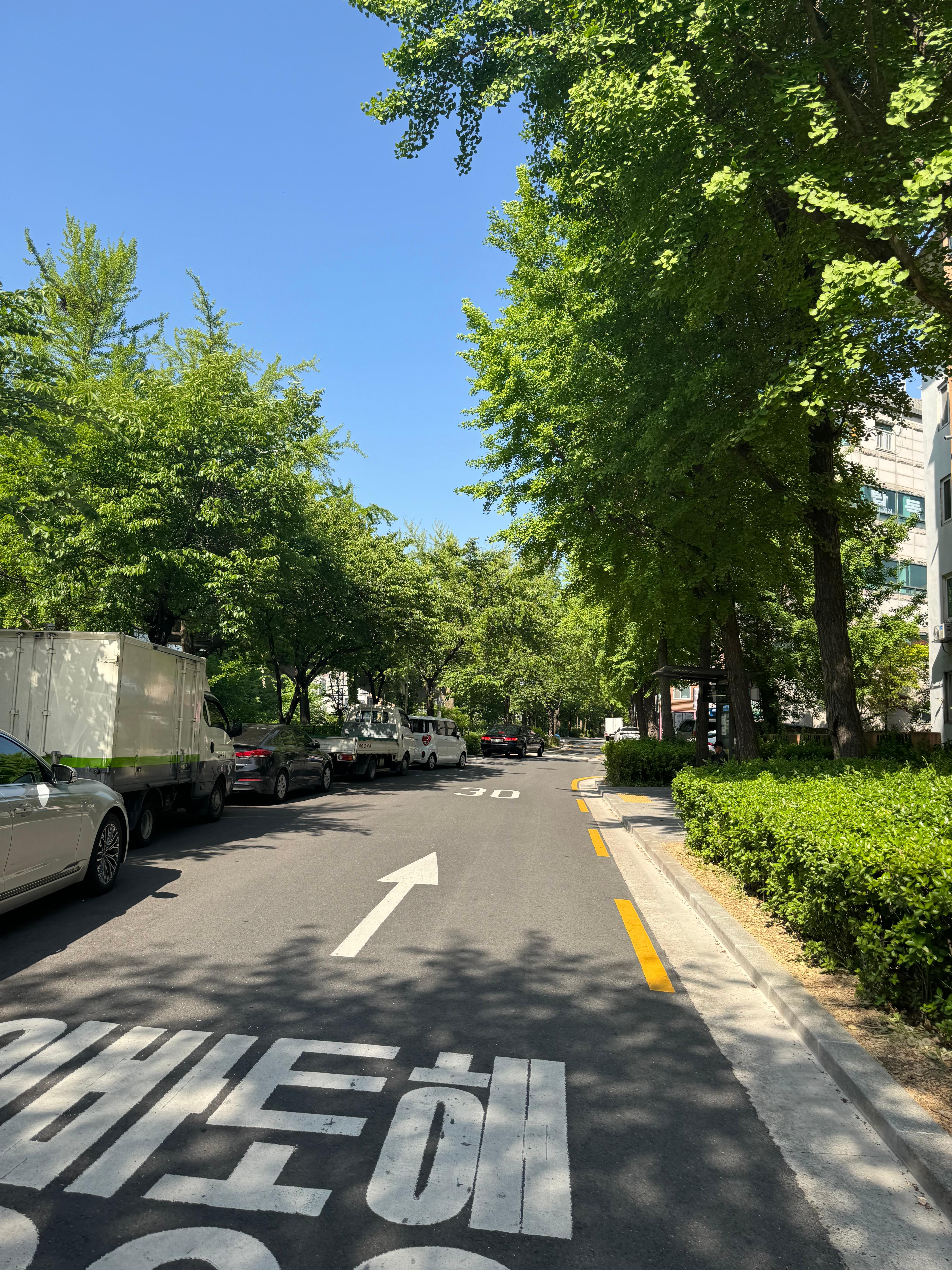 성산동 실거주자 사진 1