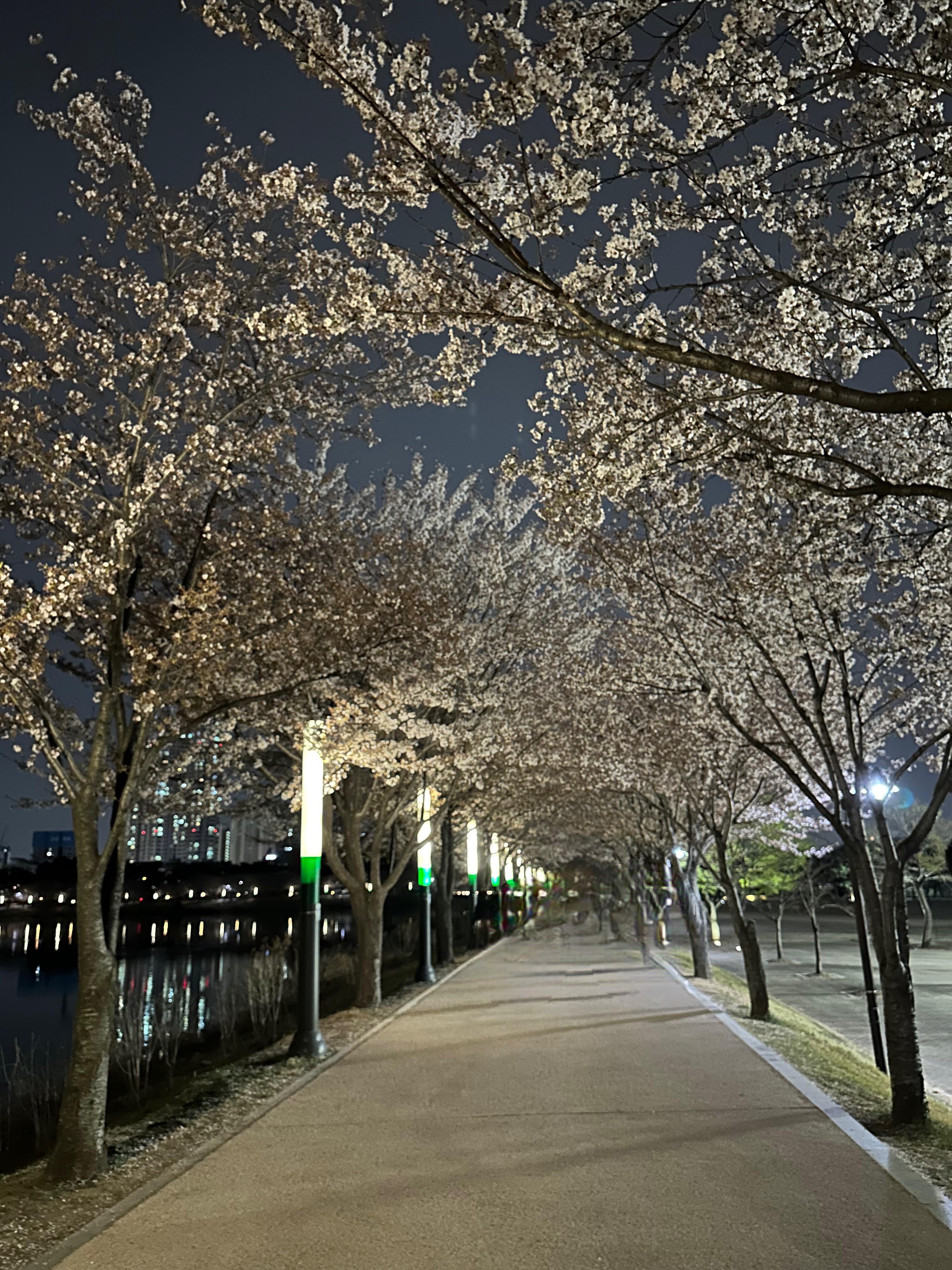 파장동 실거주자 사진 1