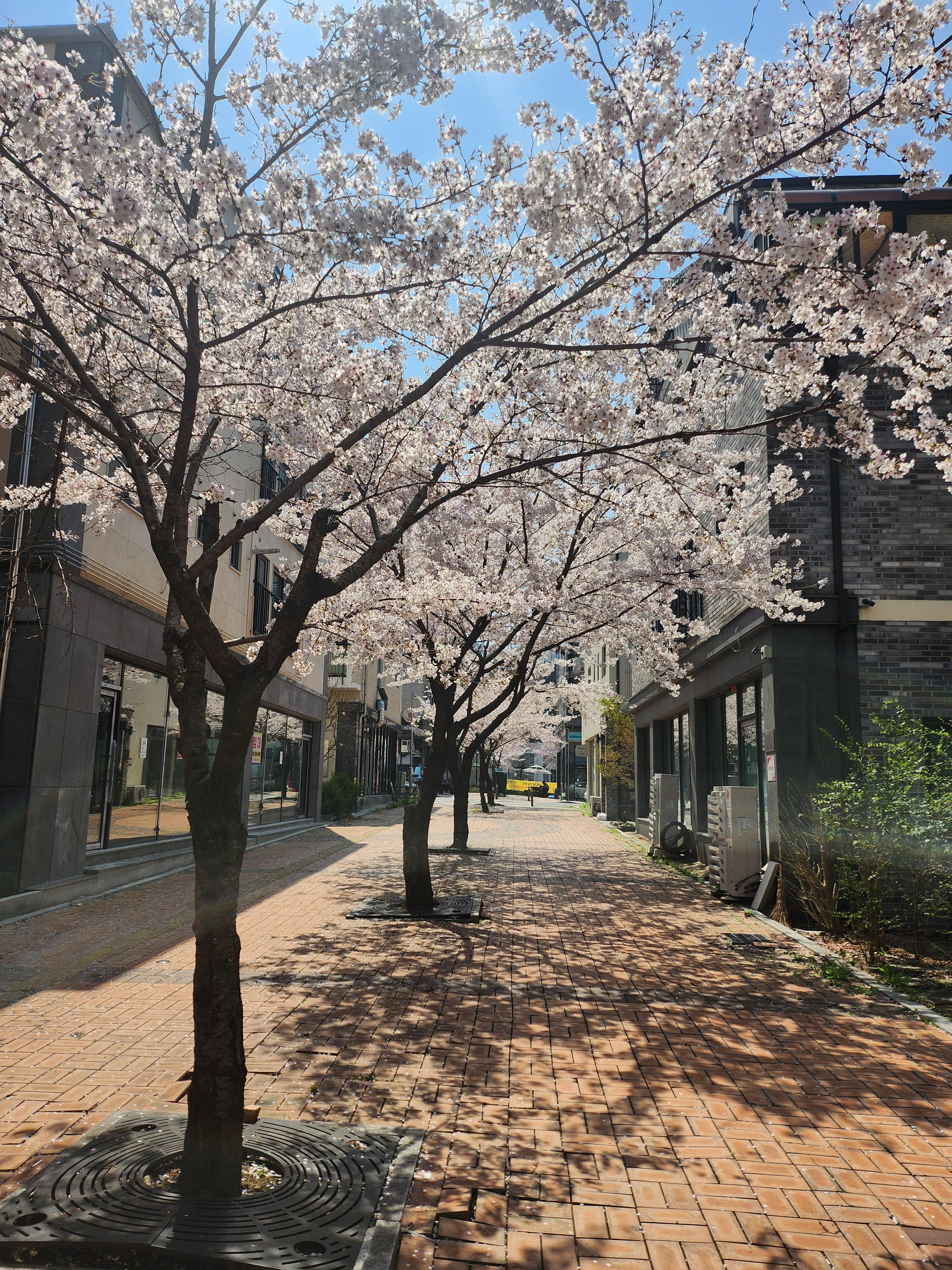 관저동 실거주자 사진 1