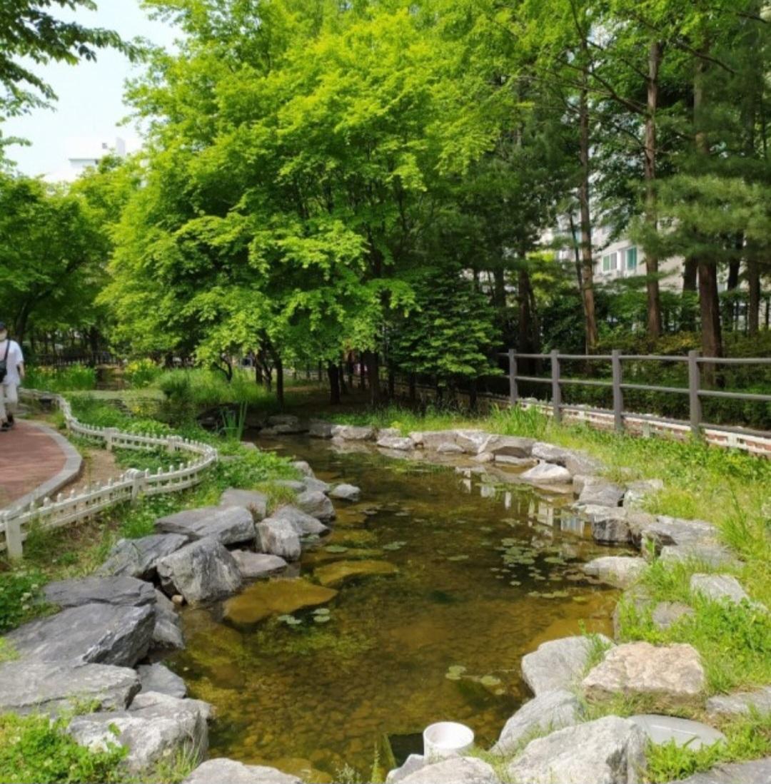 쌍문동 실거주자 사진 1