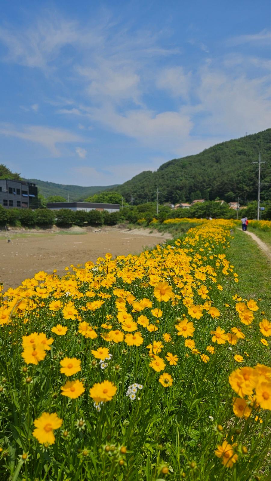 내서읍 실거주자 사진 2