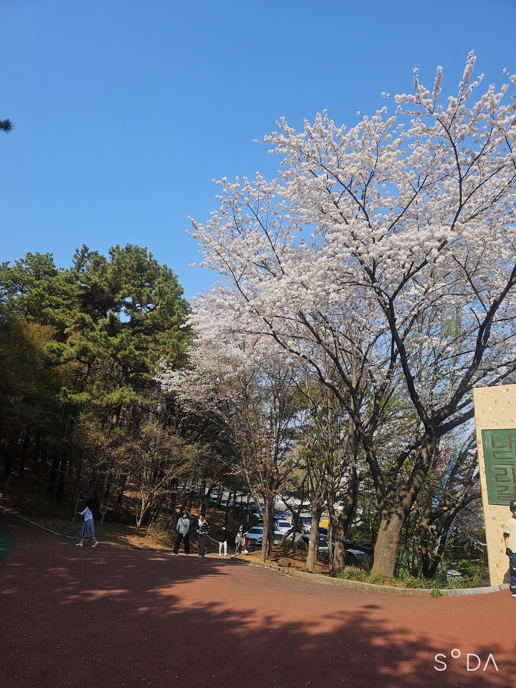 부곡동 실거주자 사진 2