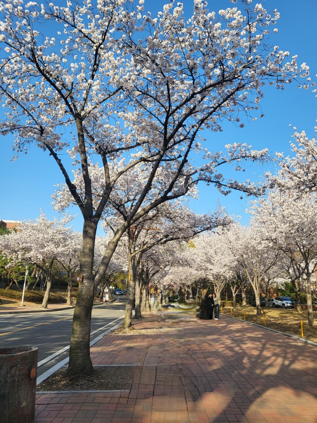 신당동 실거주자 사진 3