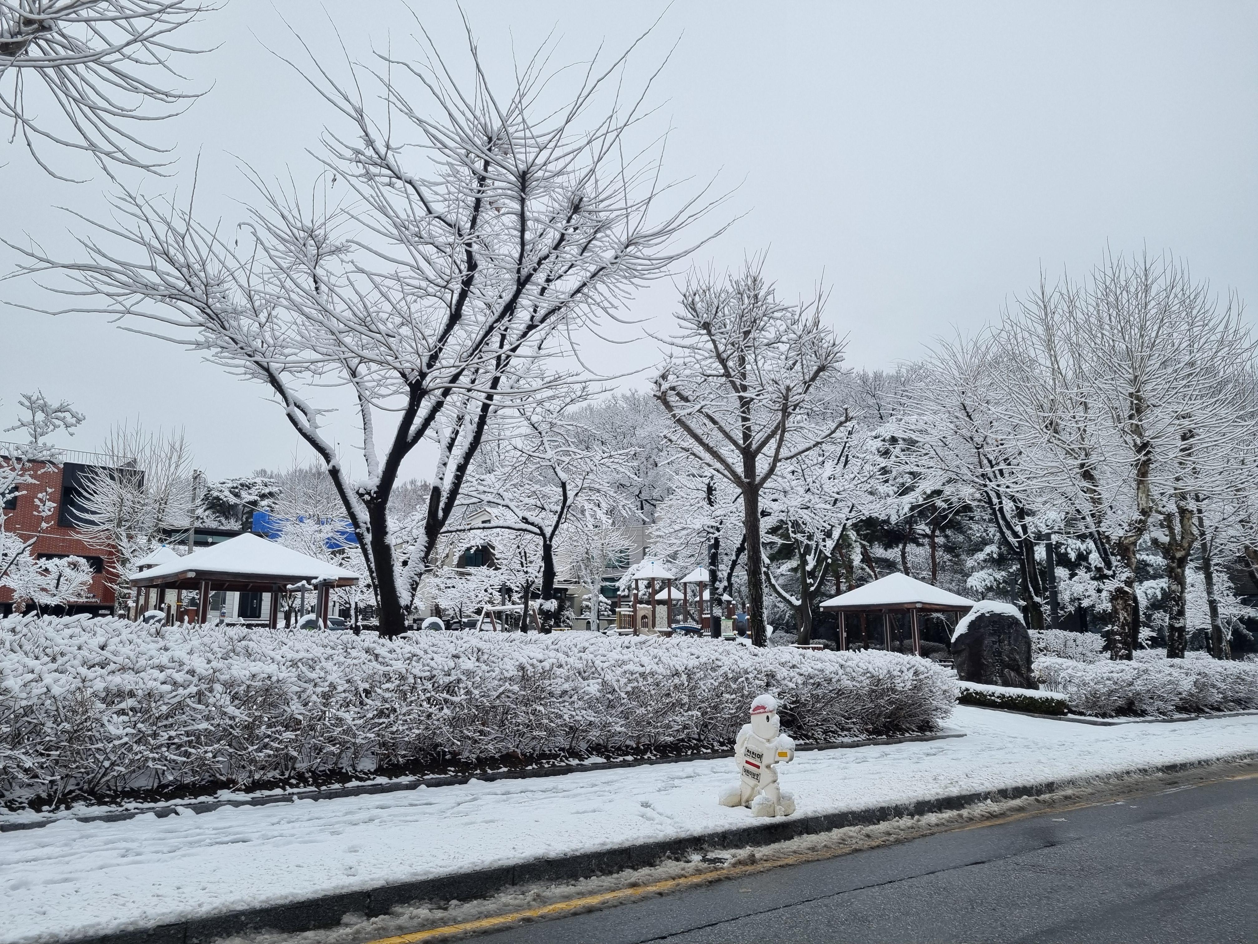 세곡동 실거주자 사진 1