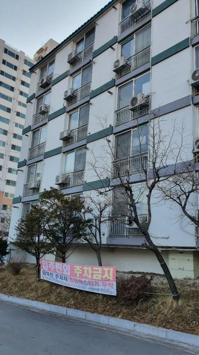 안림동 실거주자 사진 5