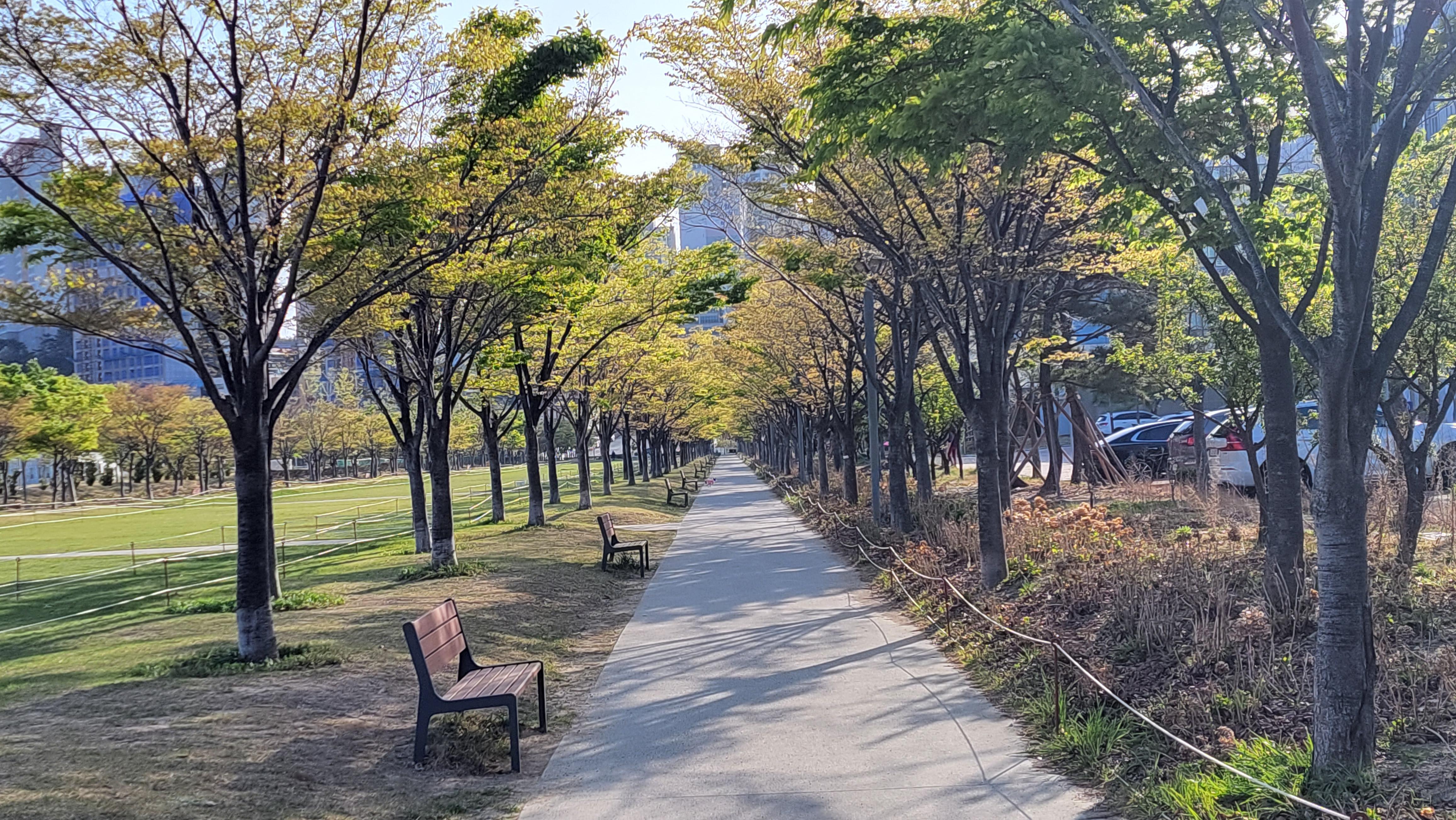 동삼동 실거주자 사진 2