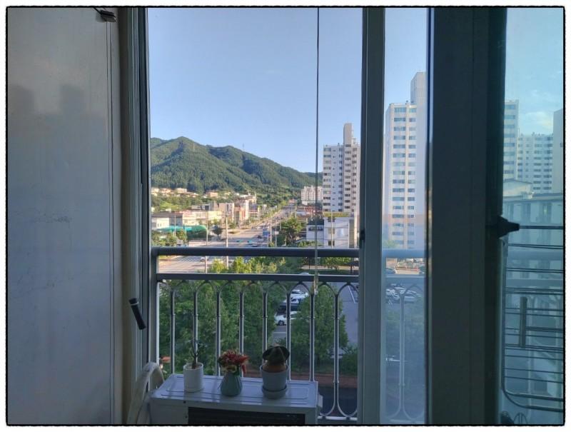 안림동 실거주자 사진 4
