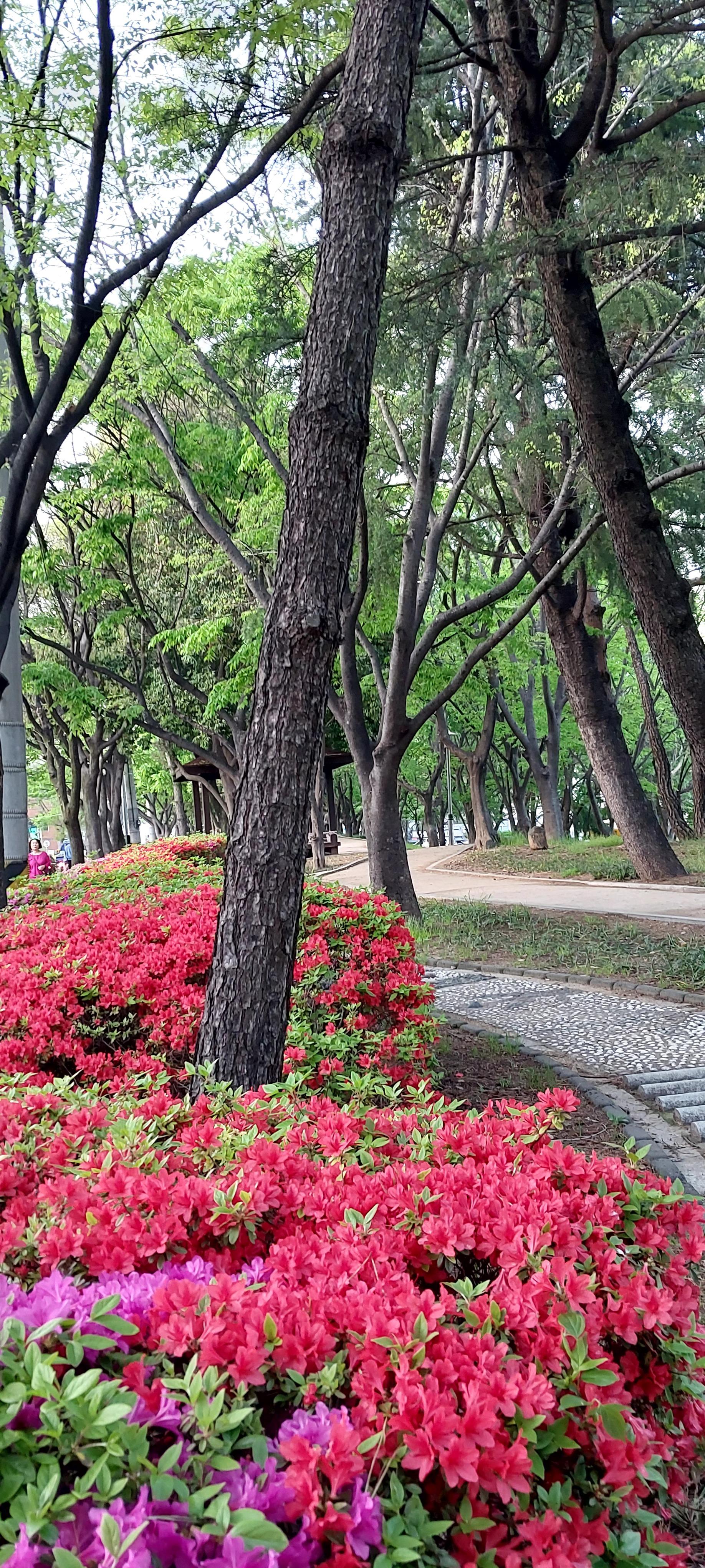 삼방동 실거주자 사진 2