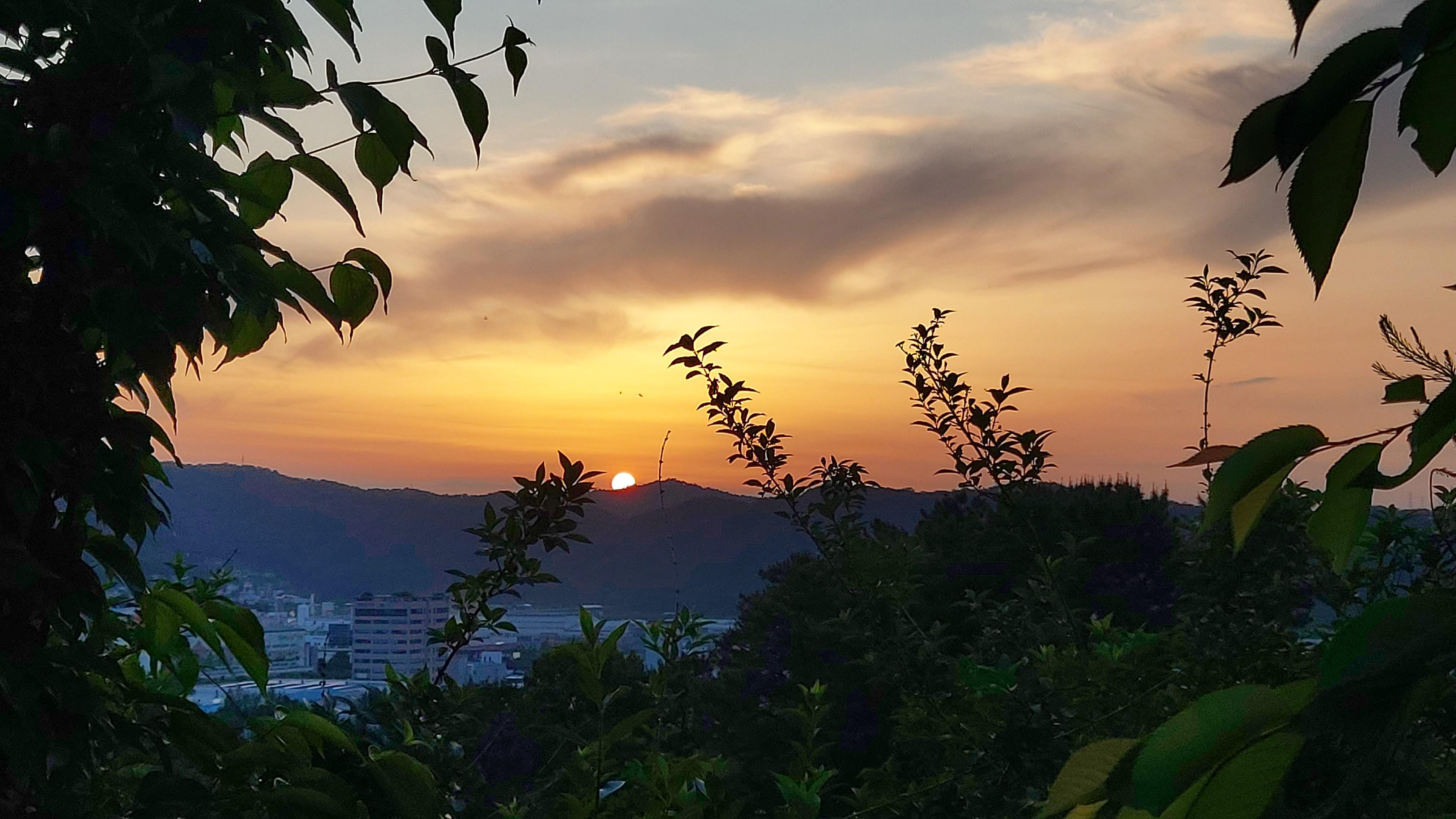 용전동 실거주자 사진 1
