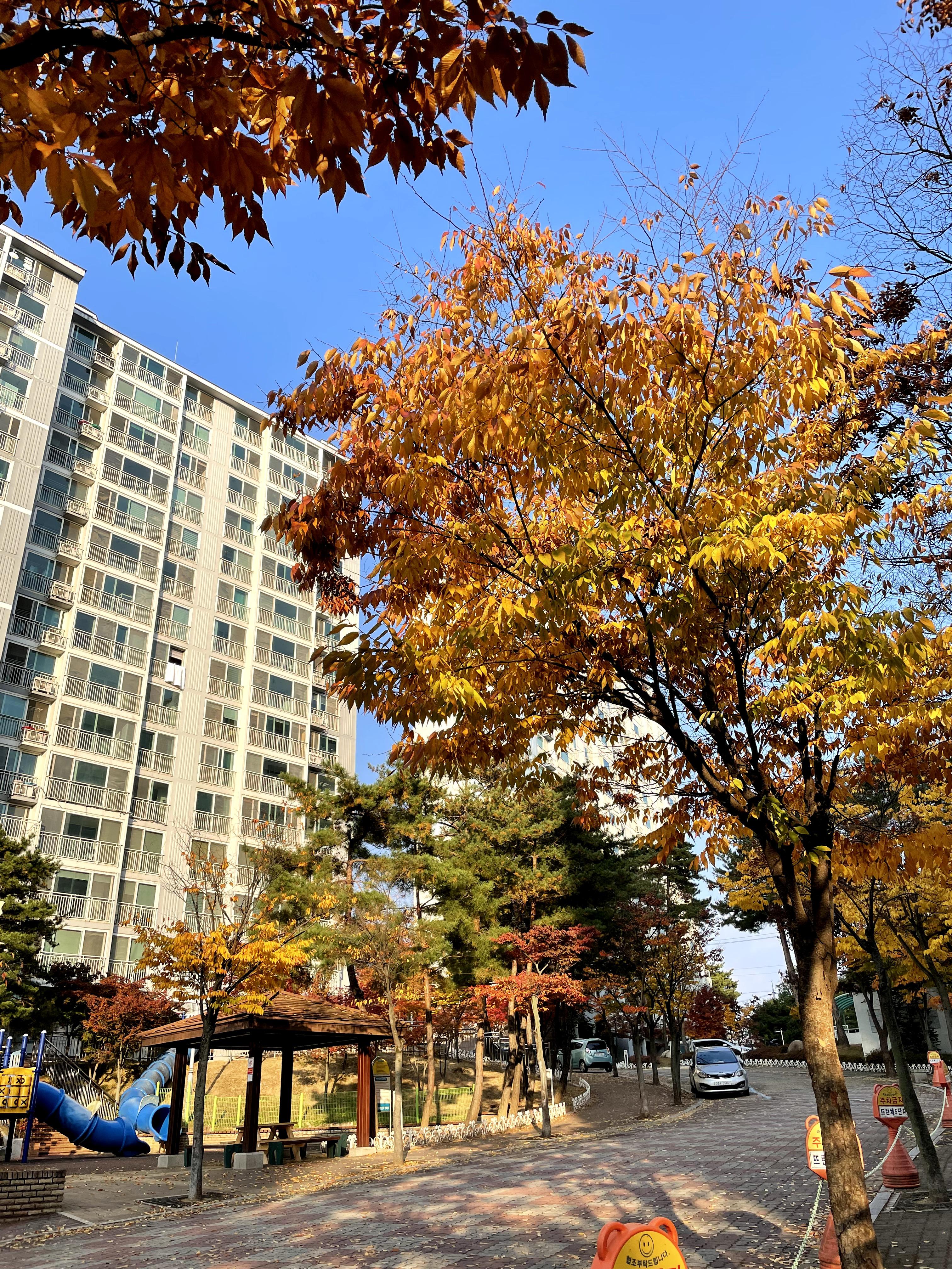 도량동 실거주자 사진 5