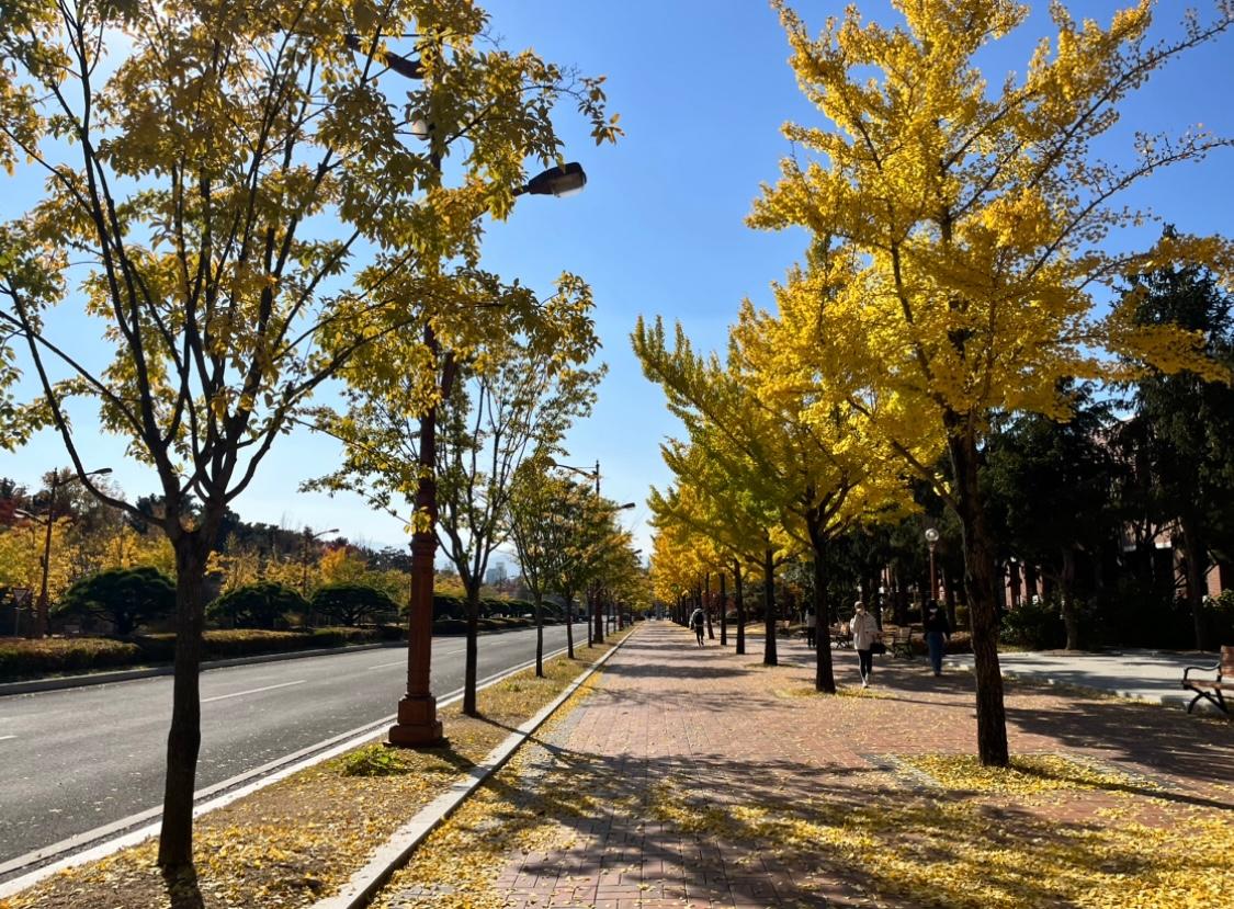 신당동 실거주자 사진 2