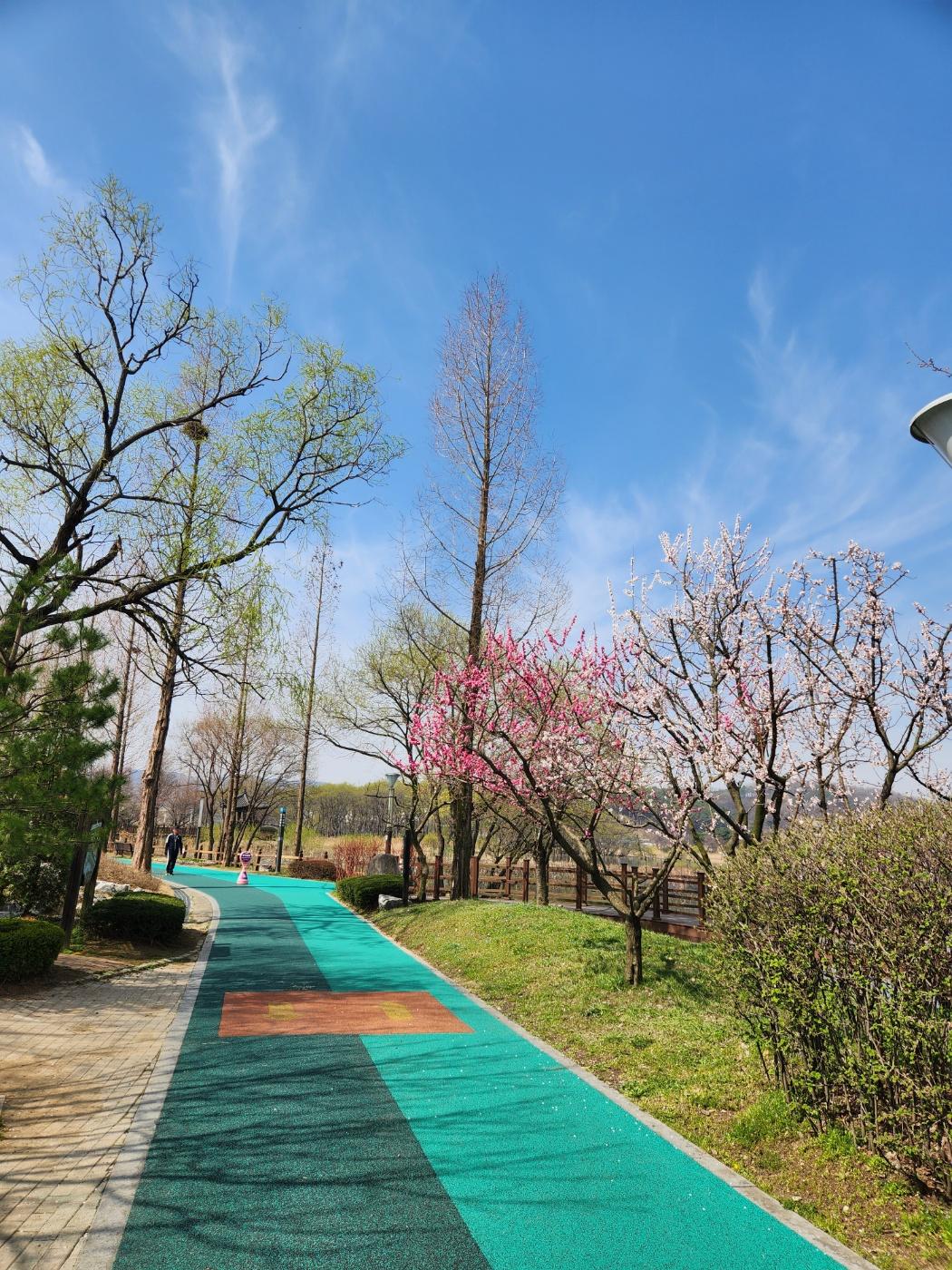 용화동 실거주자 사진 2
