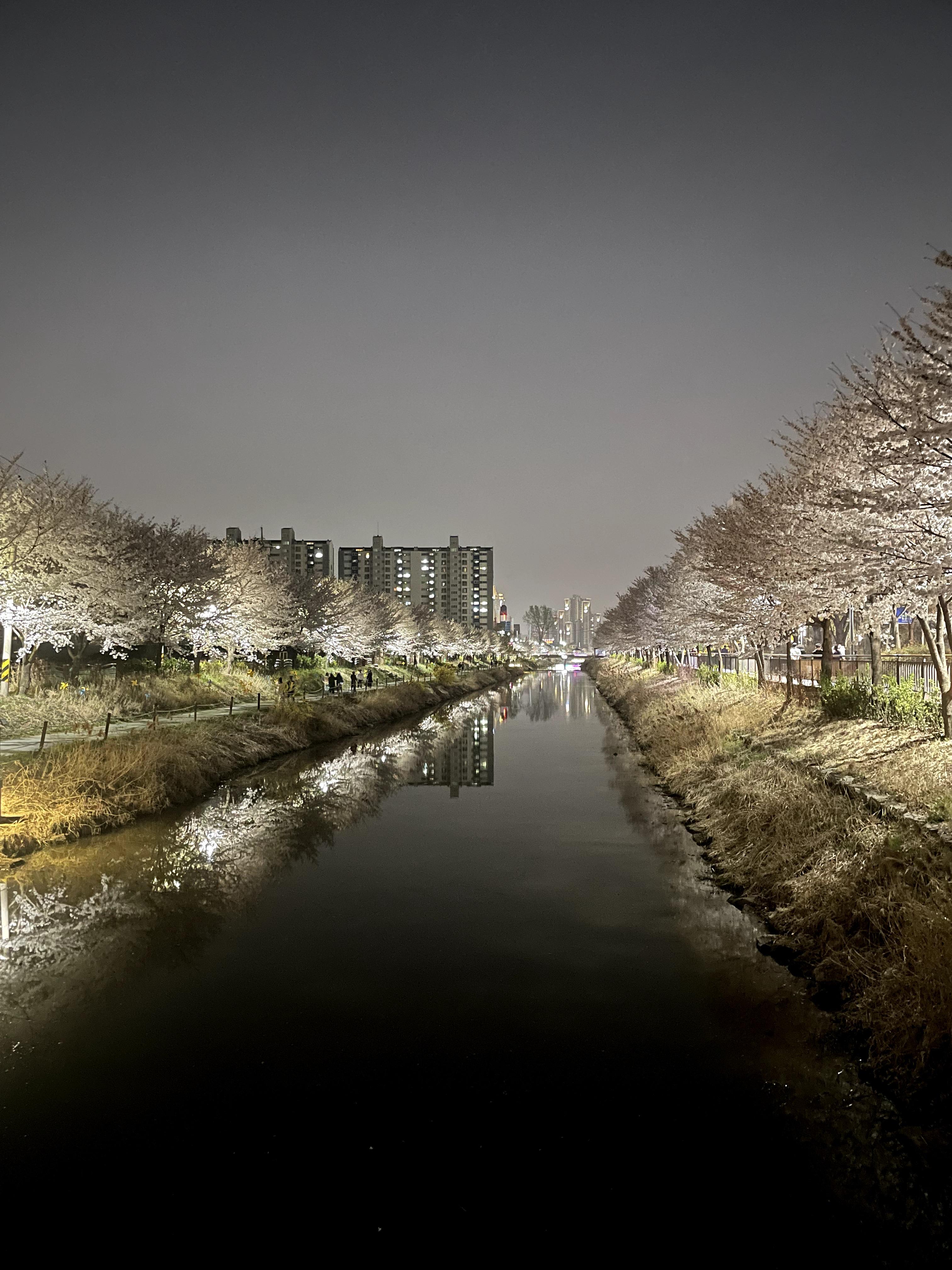 서운동 실거주자 사진 1