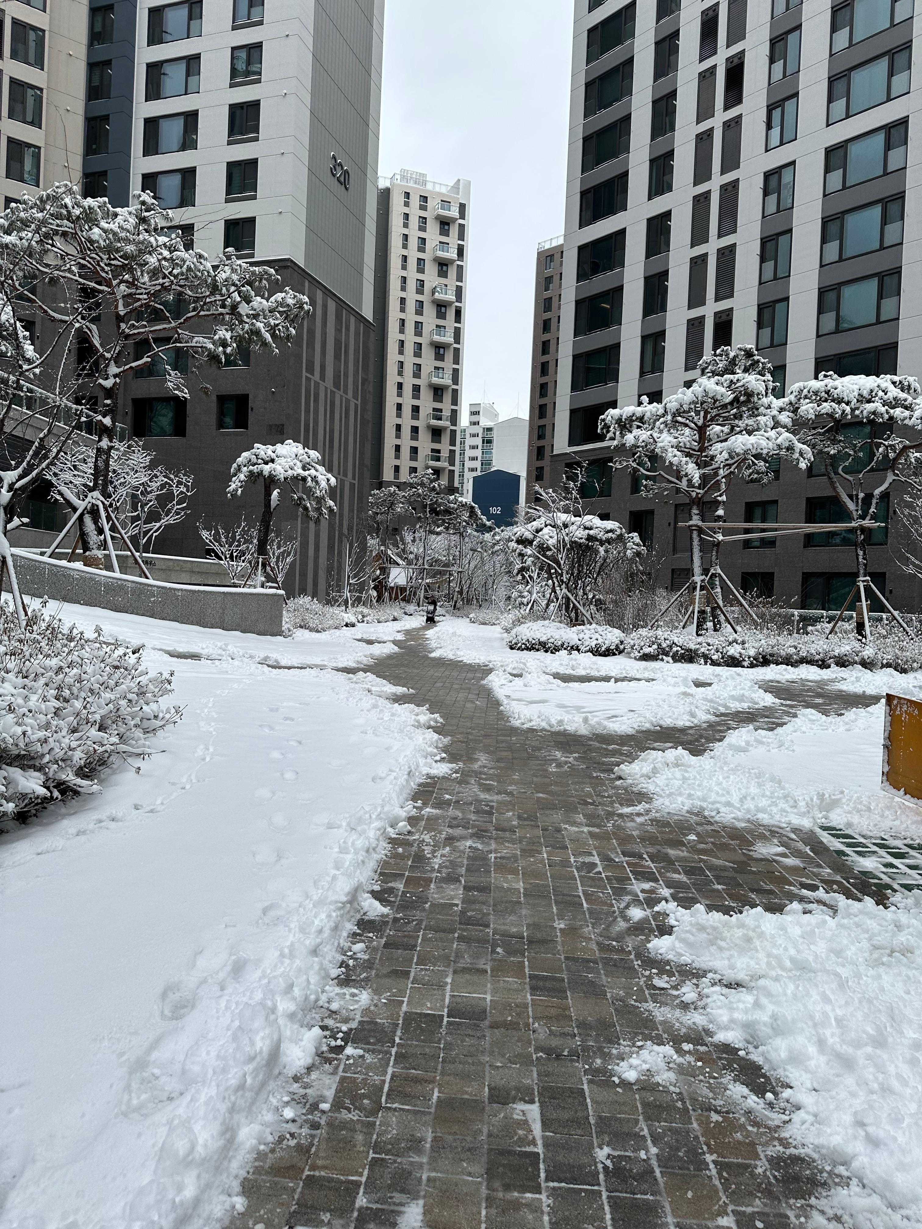 흑석동 실거주자 사진 2