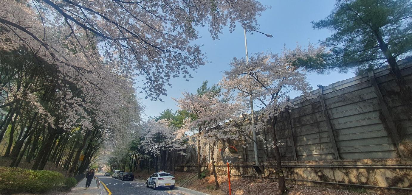 서초동 실거주자 사진 2