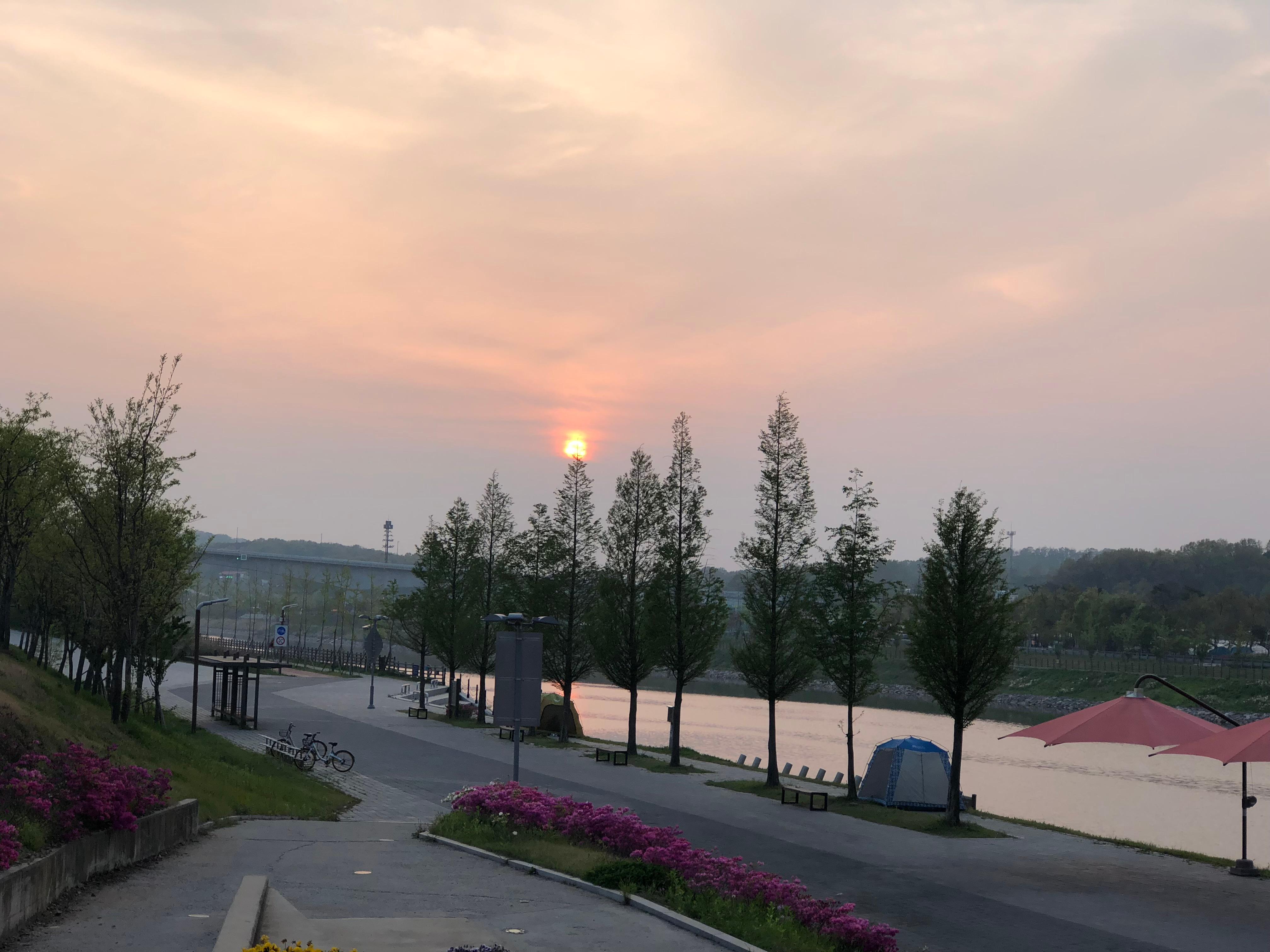 장기동 실거주자 사진 1