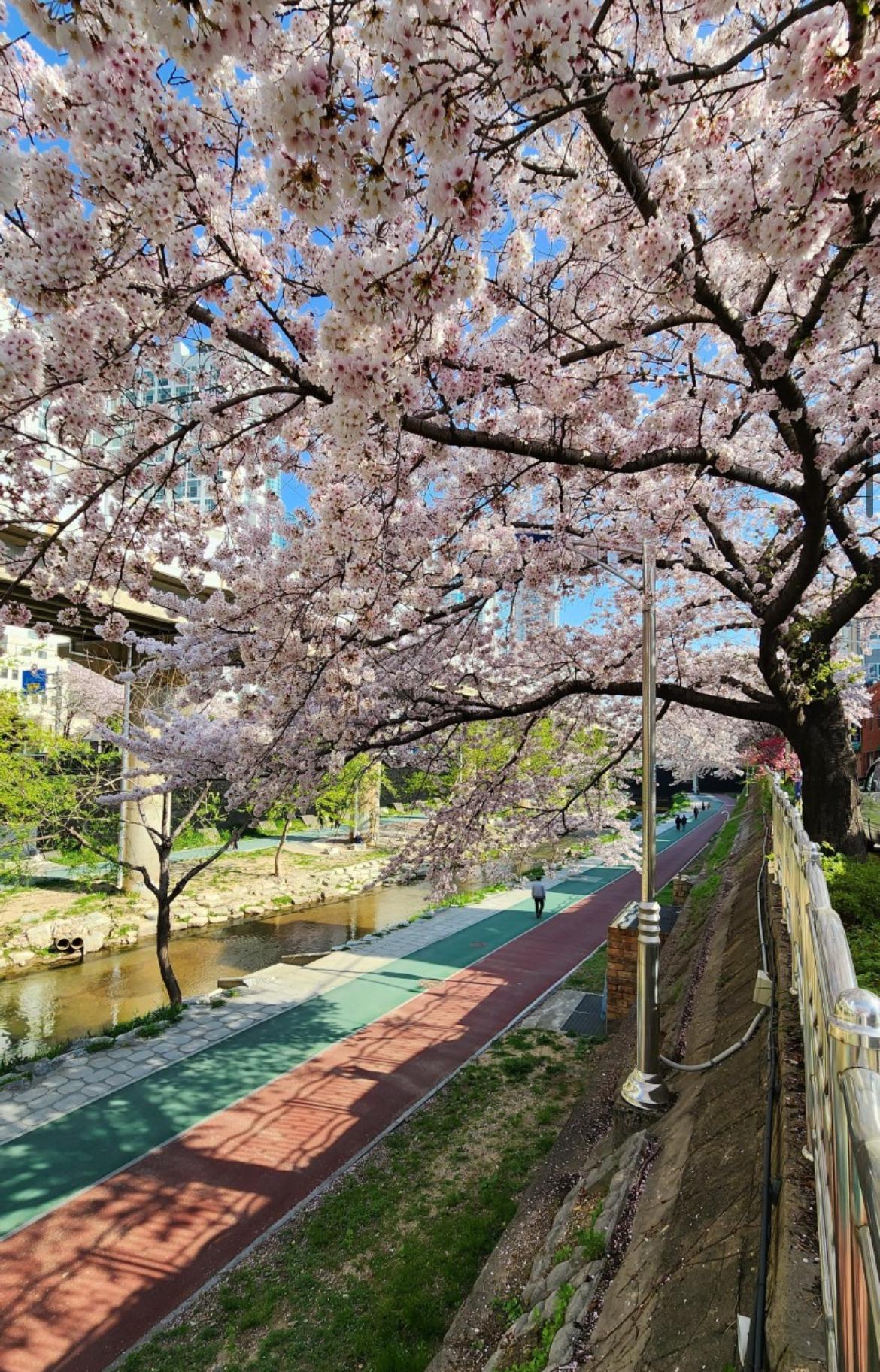 온천동 실거주자 사진 2