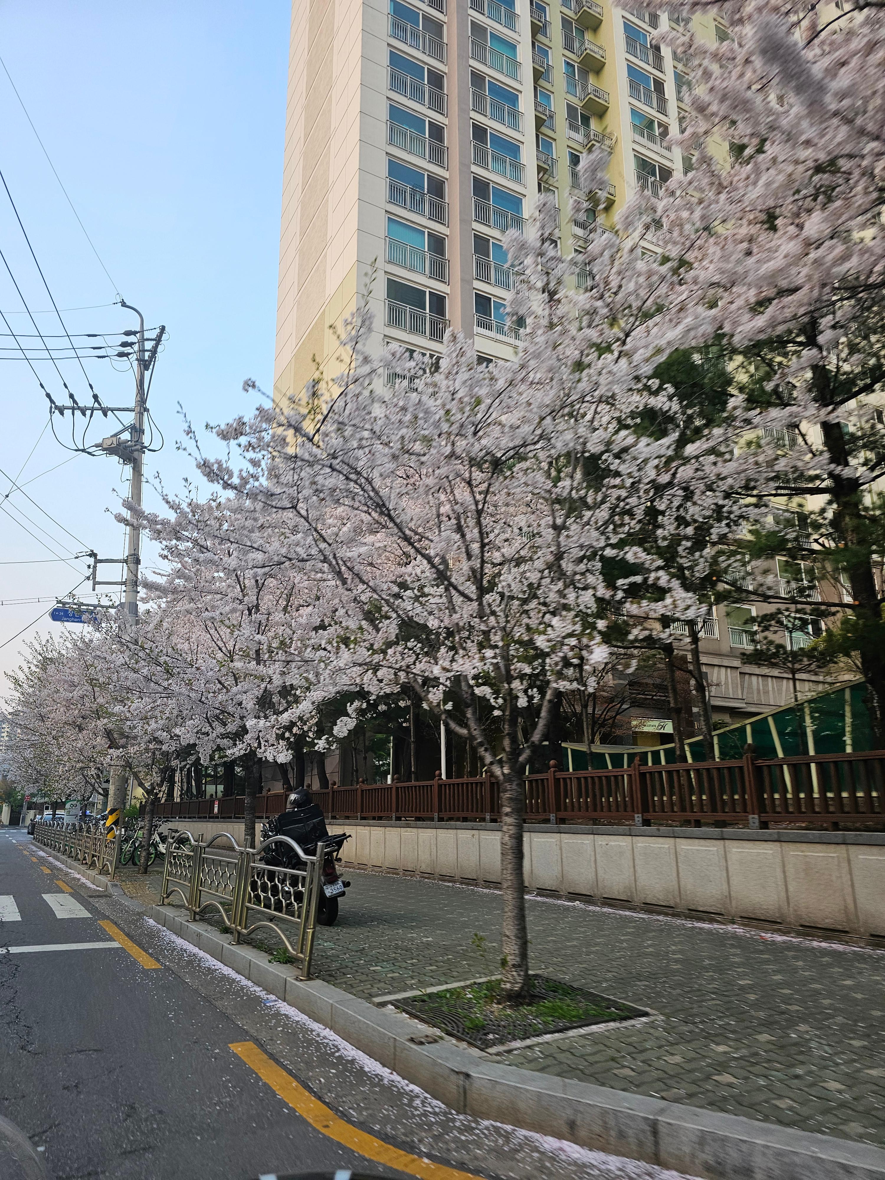갈매동 실거주자 사진 1