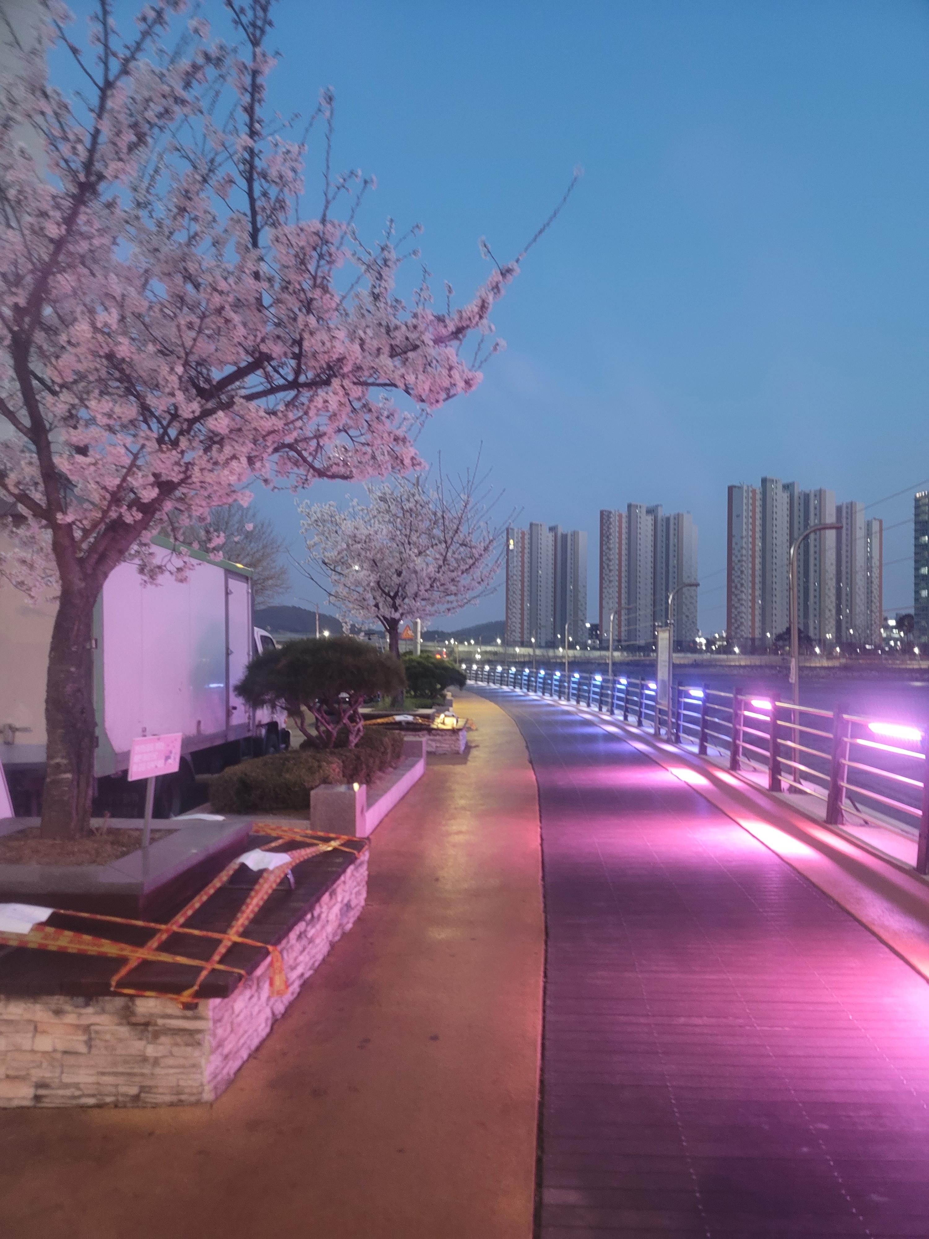 월곶동 실거주자 사진 1
