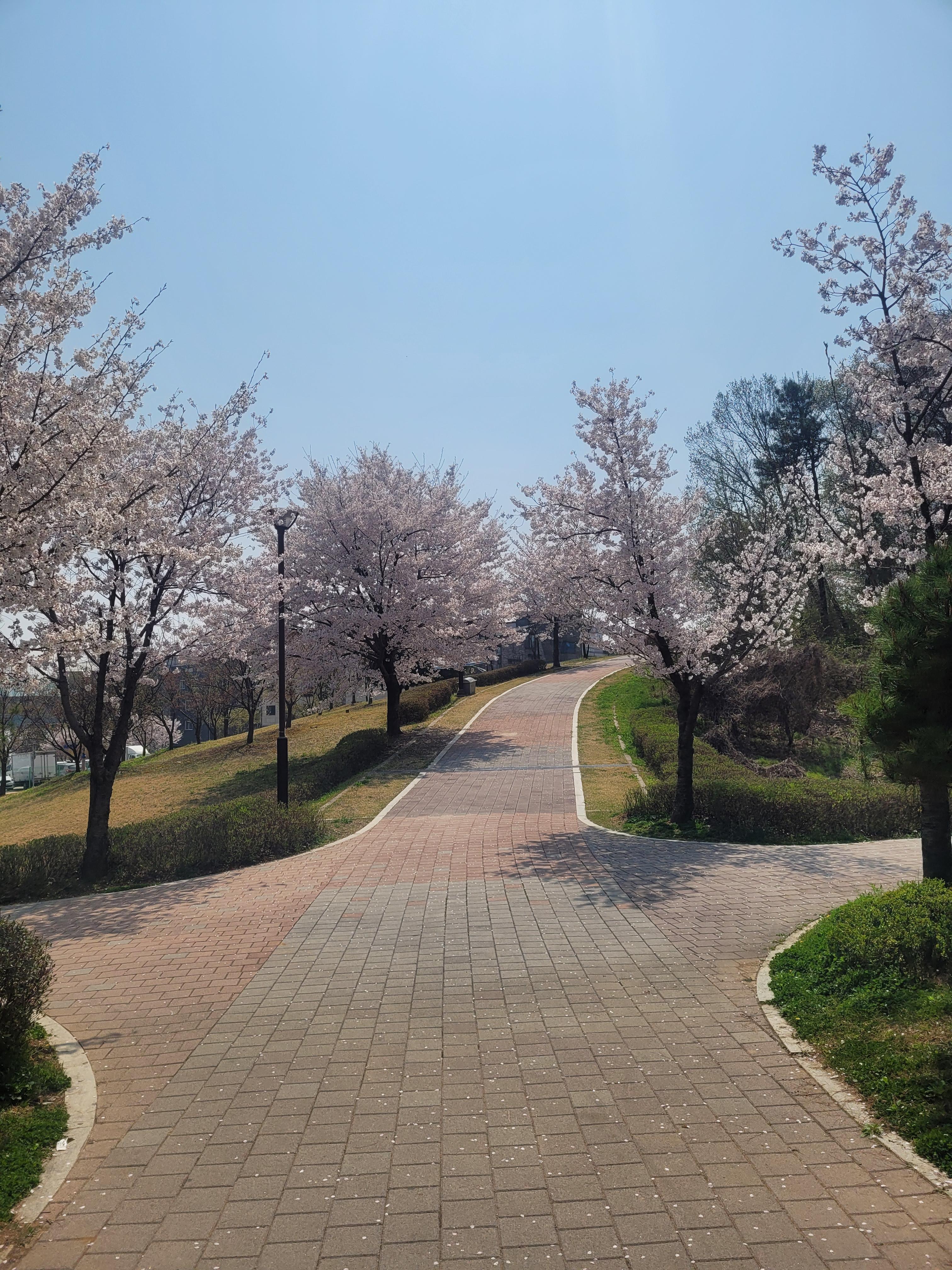 용이동 실거주자 사진 1