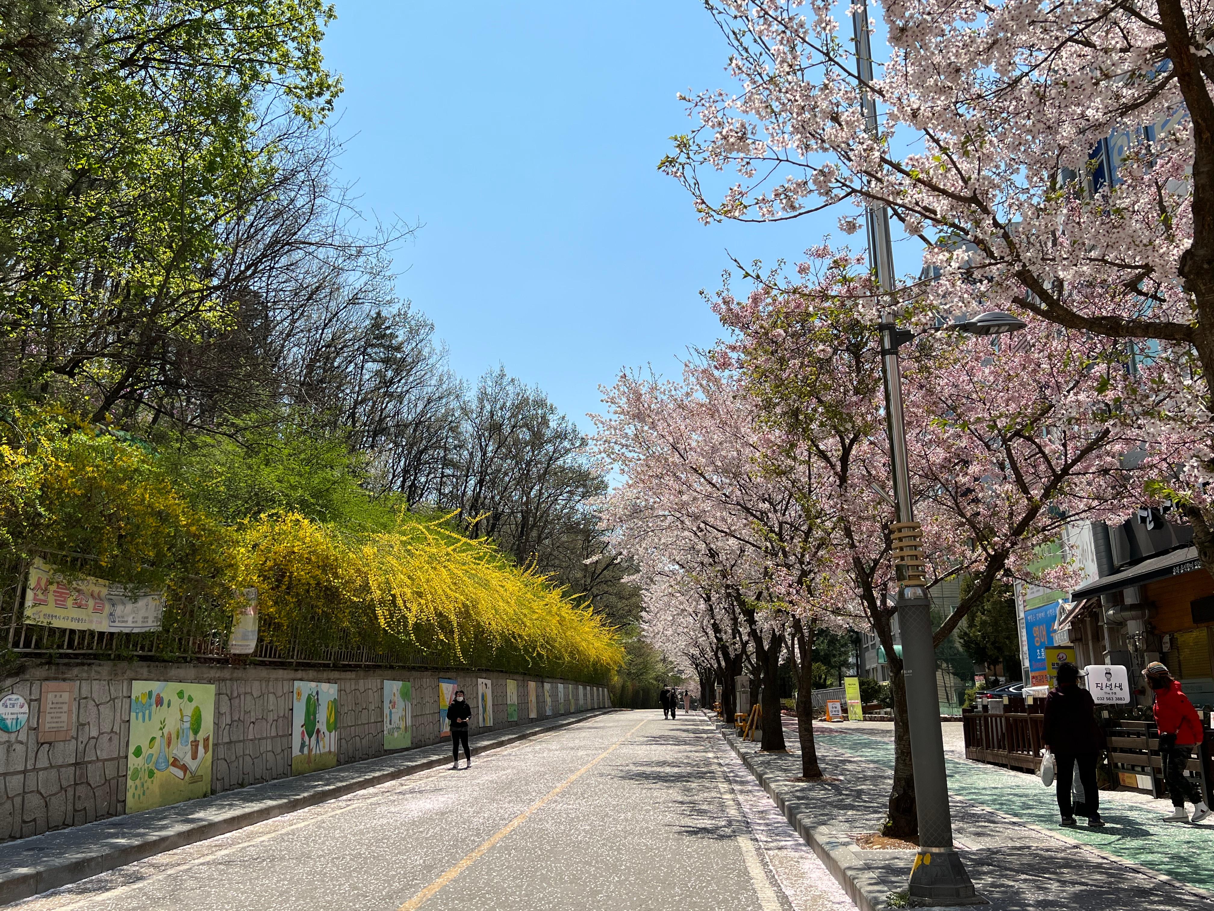 불로동 실거주자 사진 1