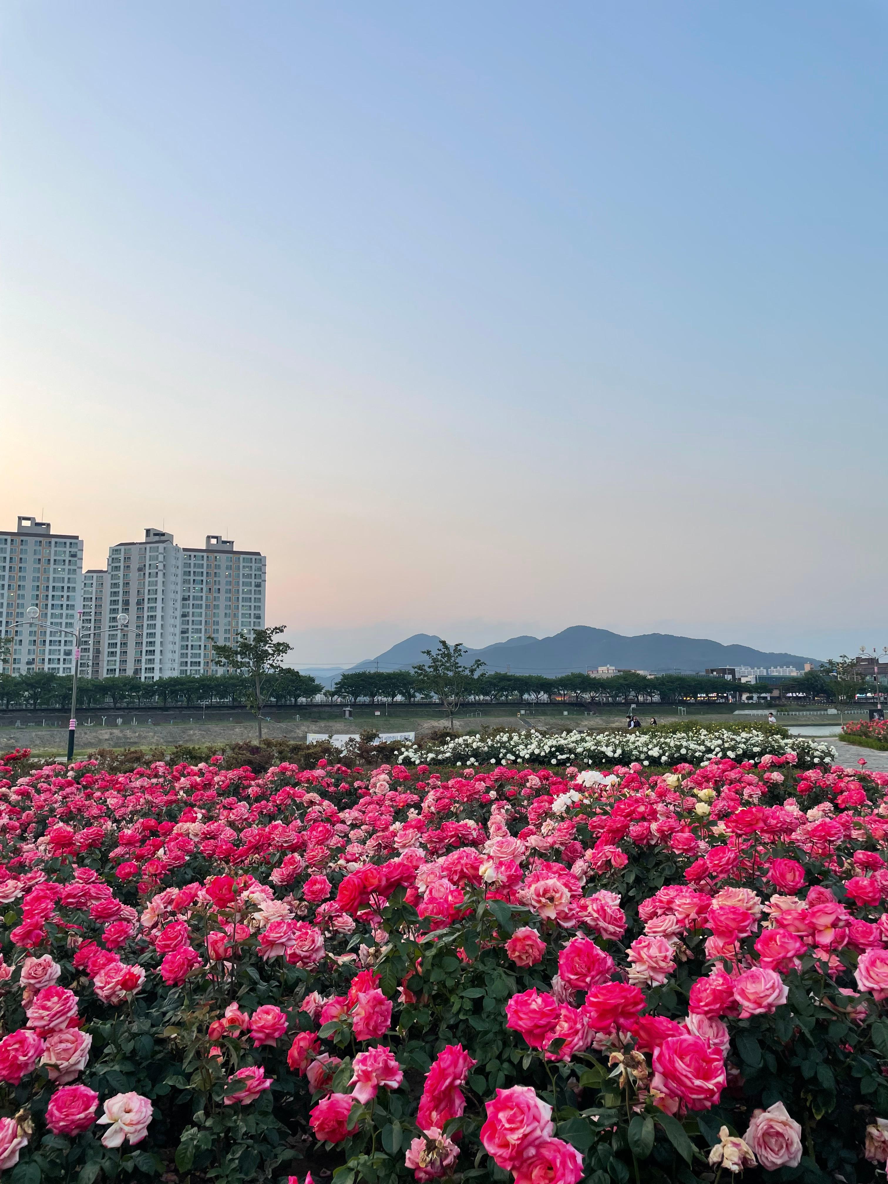 삼문동 실거주자 사진 1