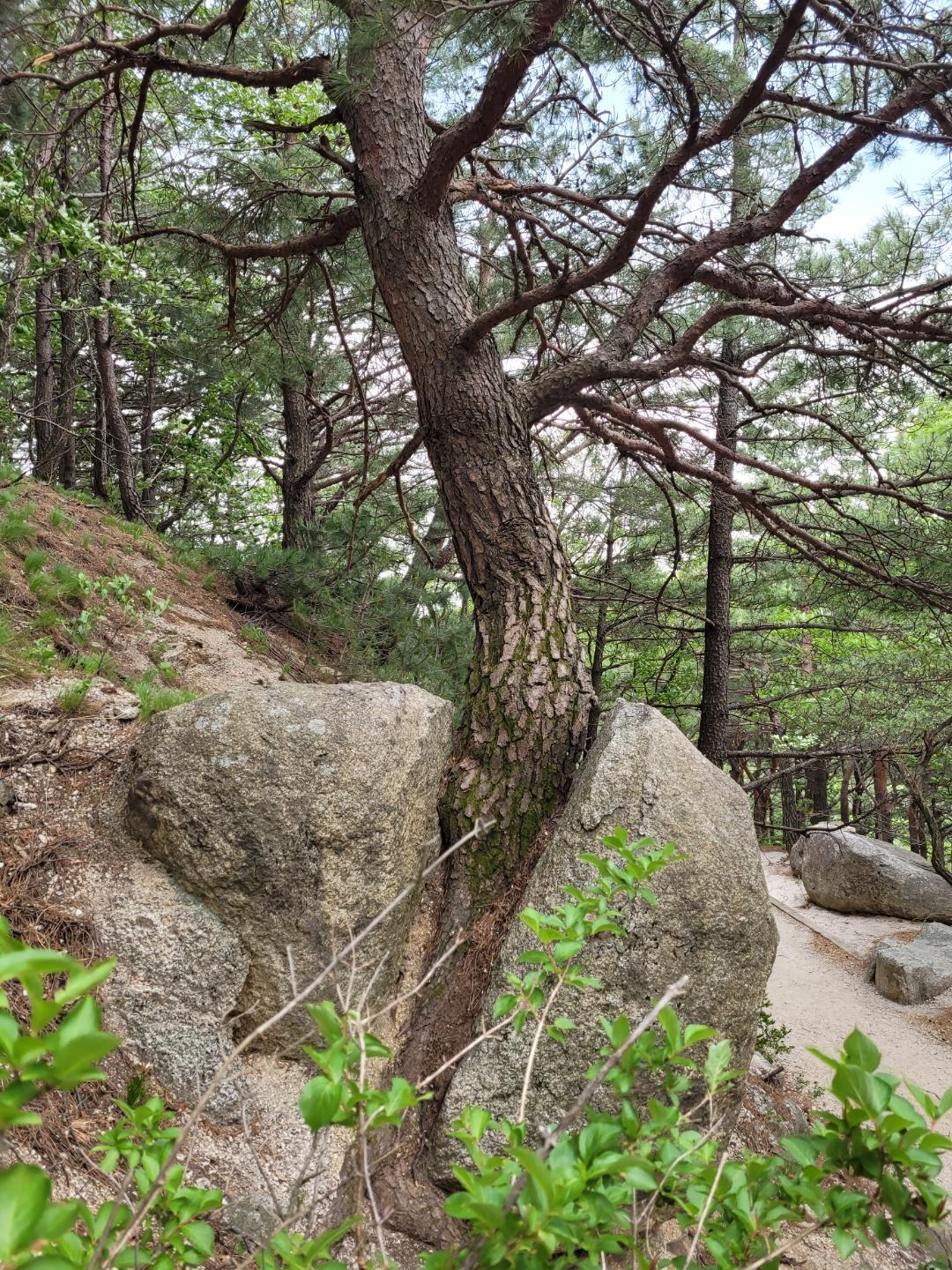 잠원동 실거주자 사진 2