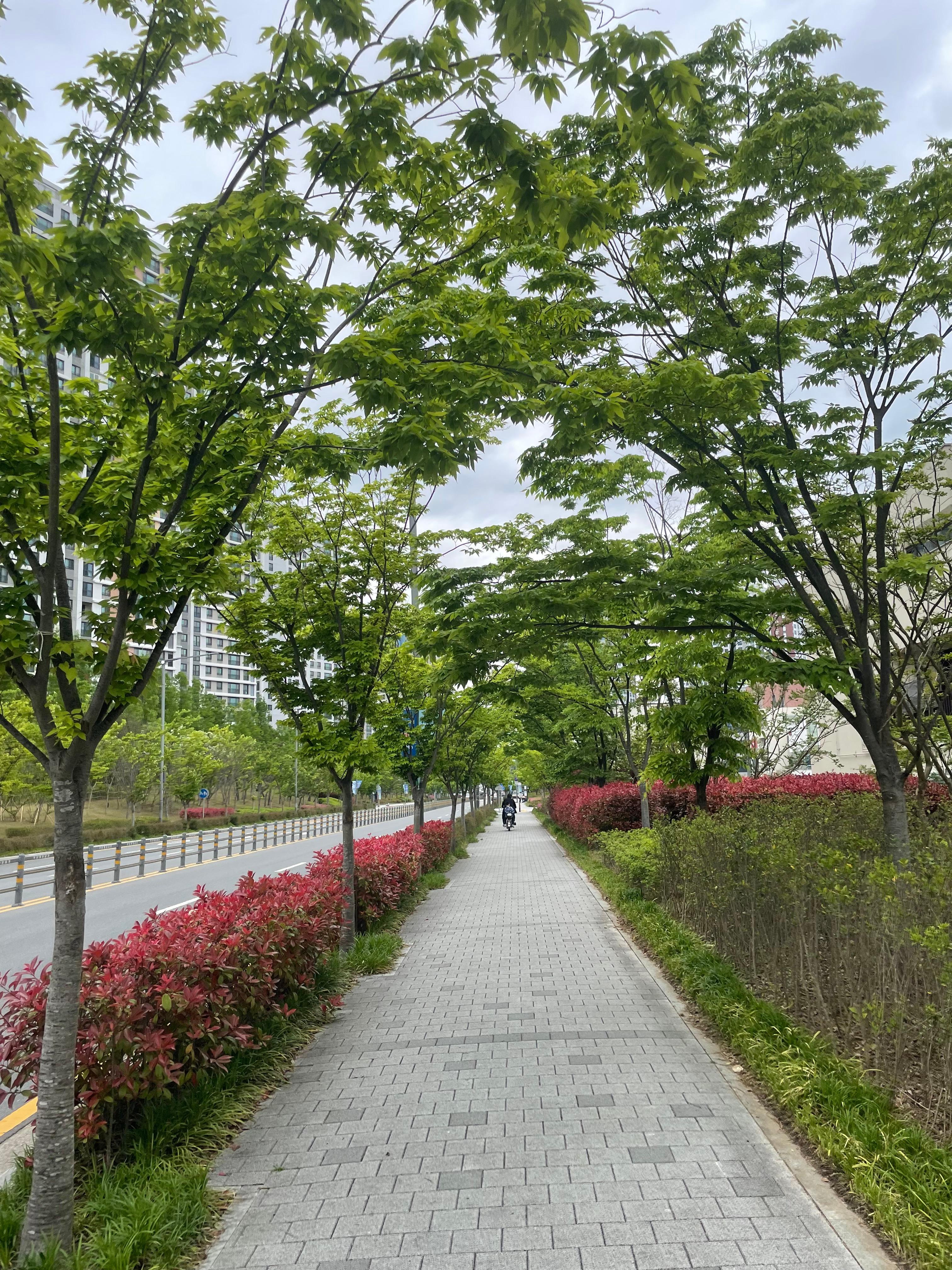 일광읍 실거주자 사진 1