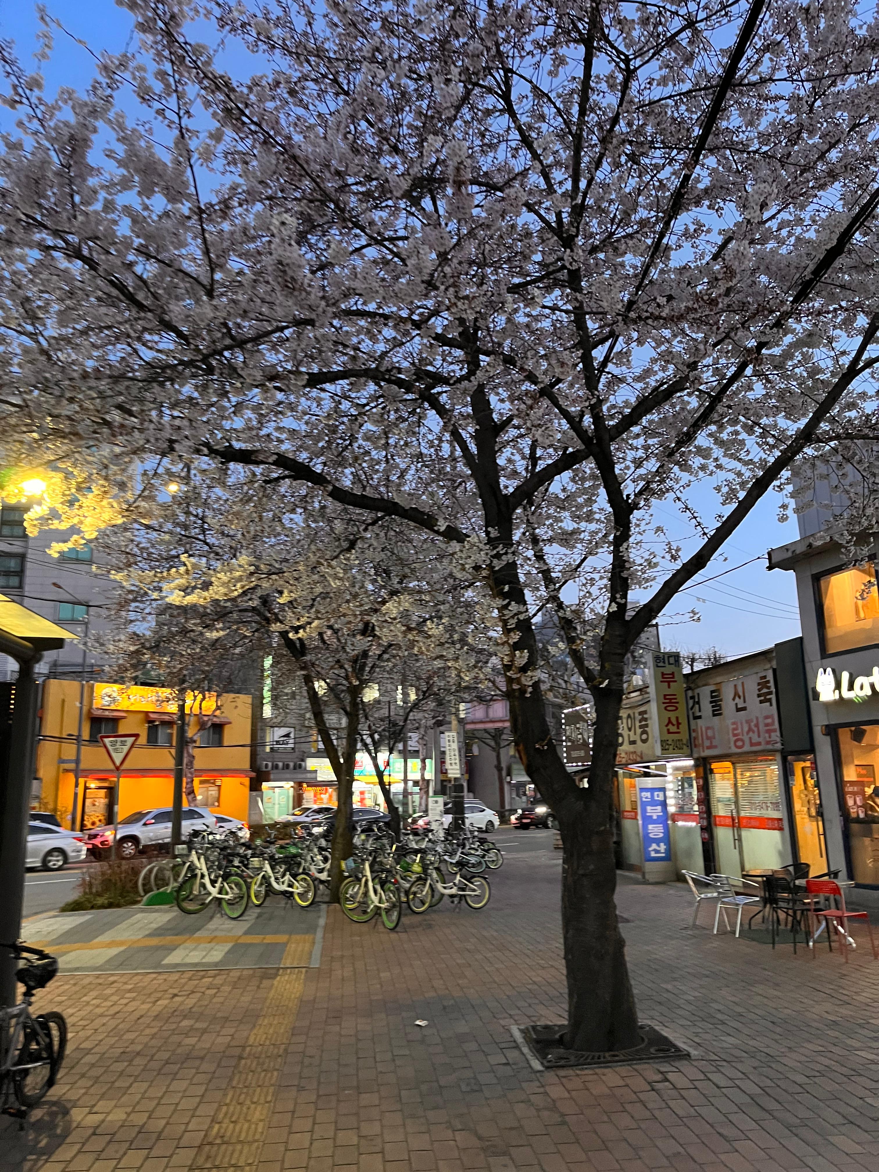 용두동 실거주자 사진 1