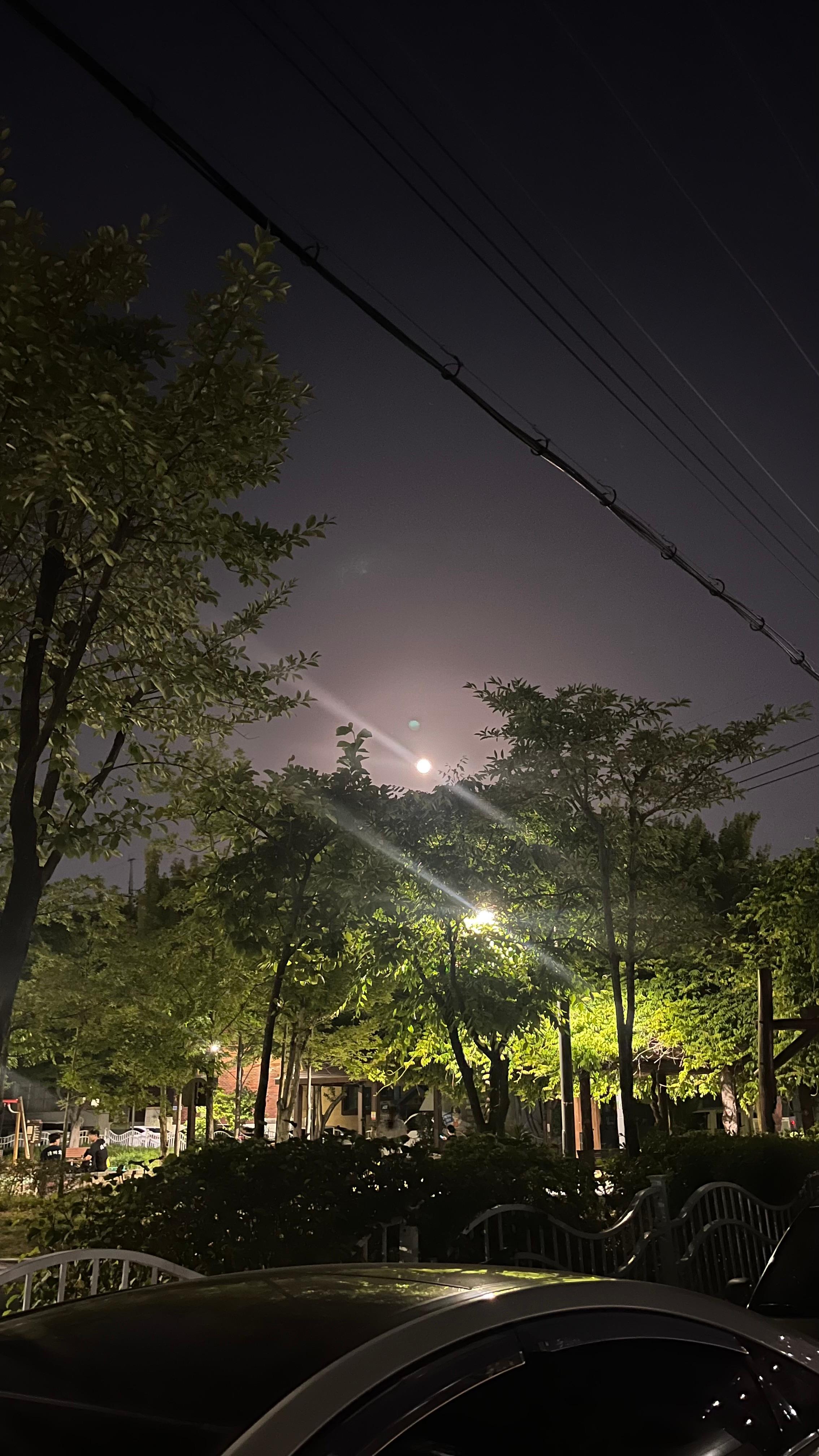 사창동 실거주자 사진 1