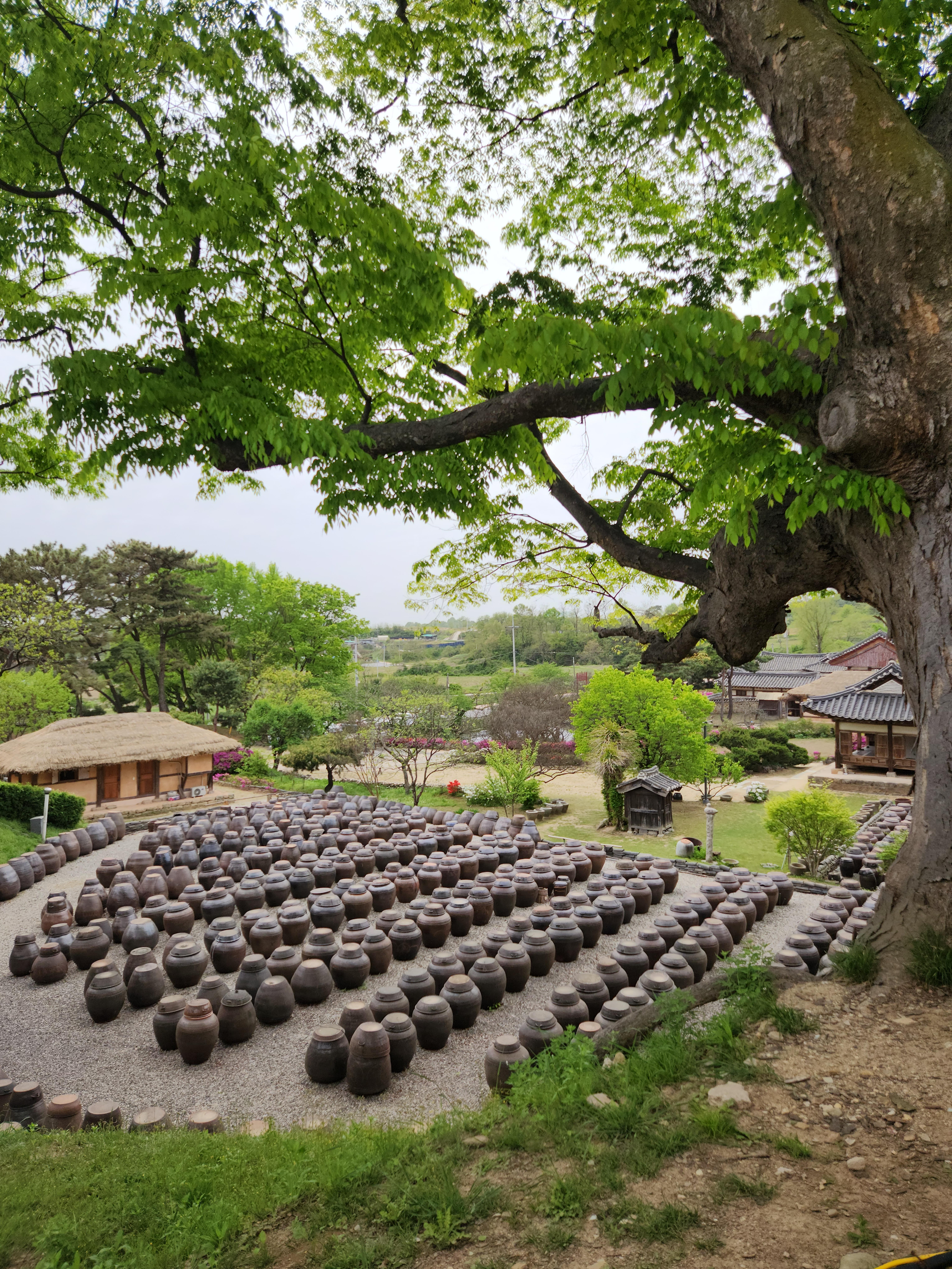 취암동 실거주자 사진 2