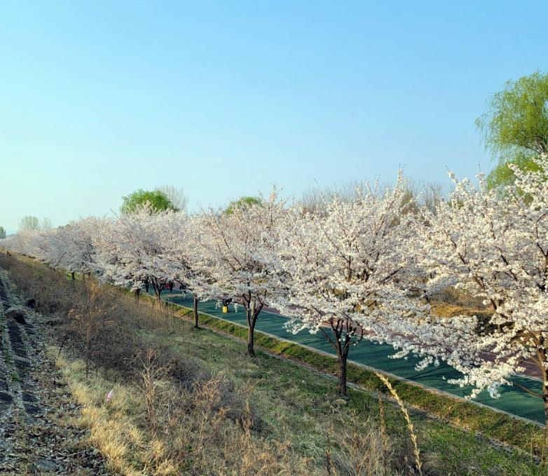 신장동 실거주자 사진 1