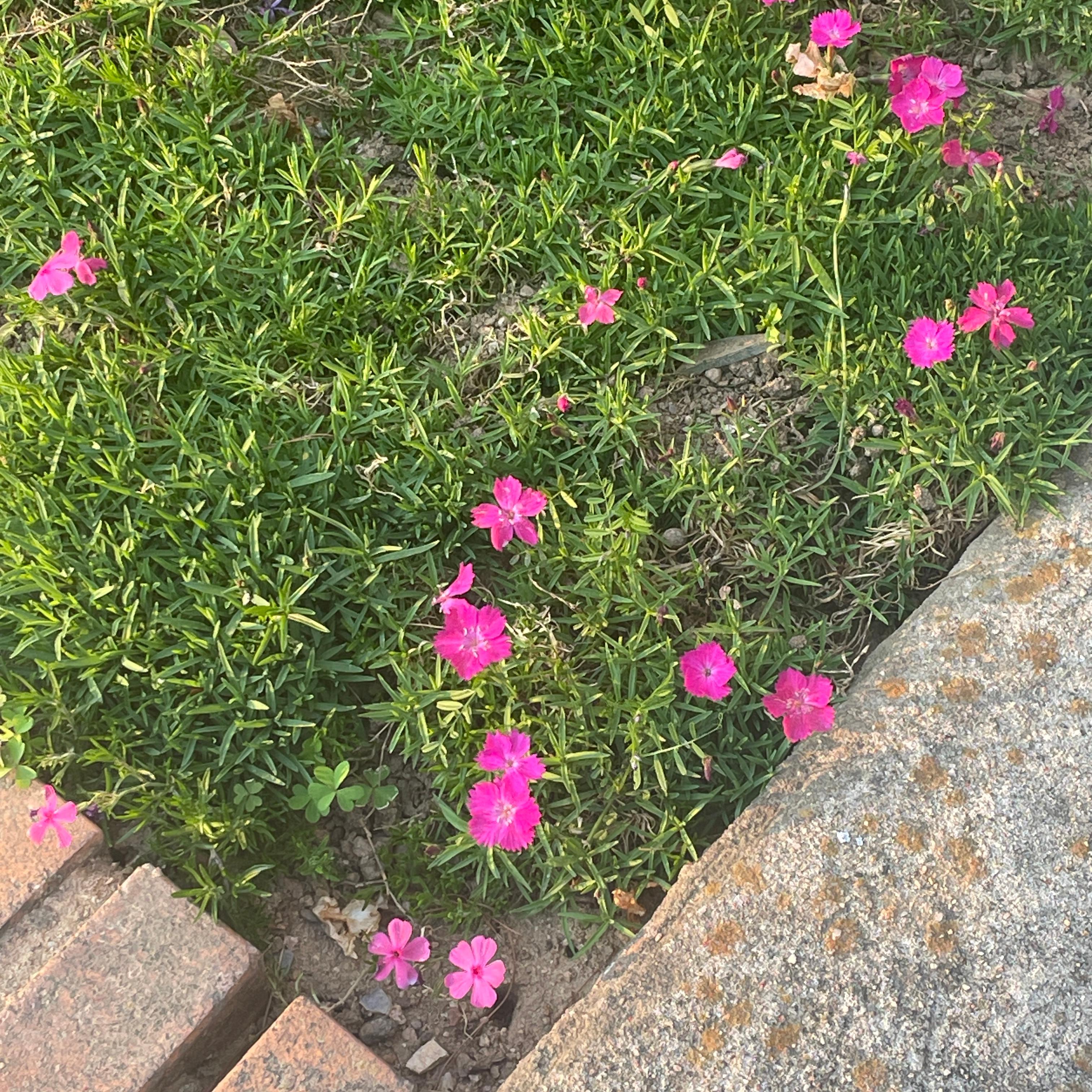 가양동 실거주자 사진 3
