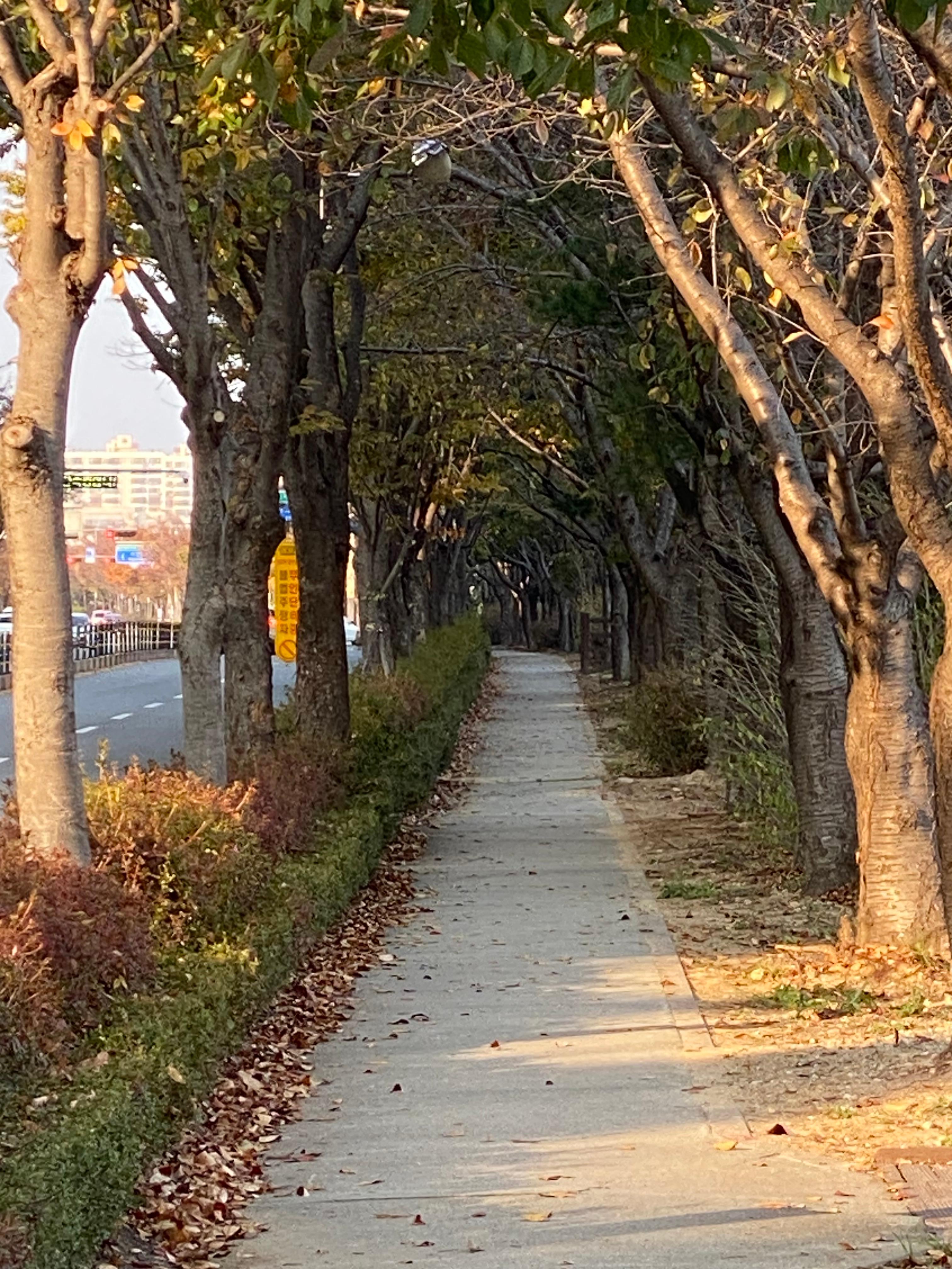 효자동2가 실거주자 사진 1