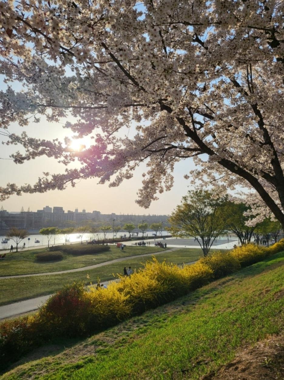 지저동 실거주자 사진 1