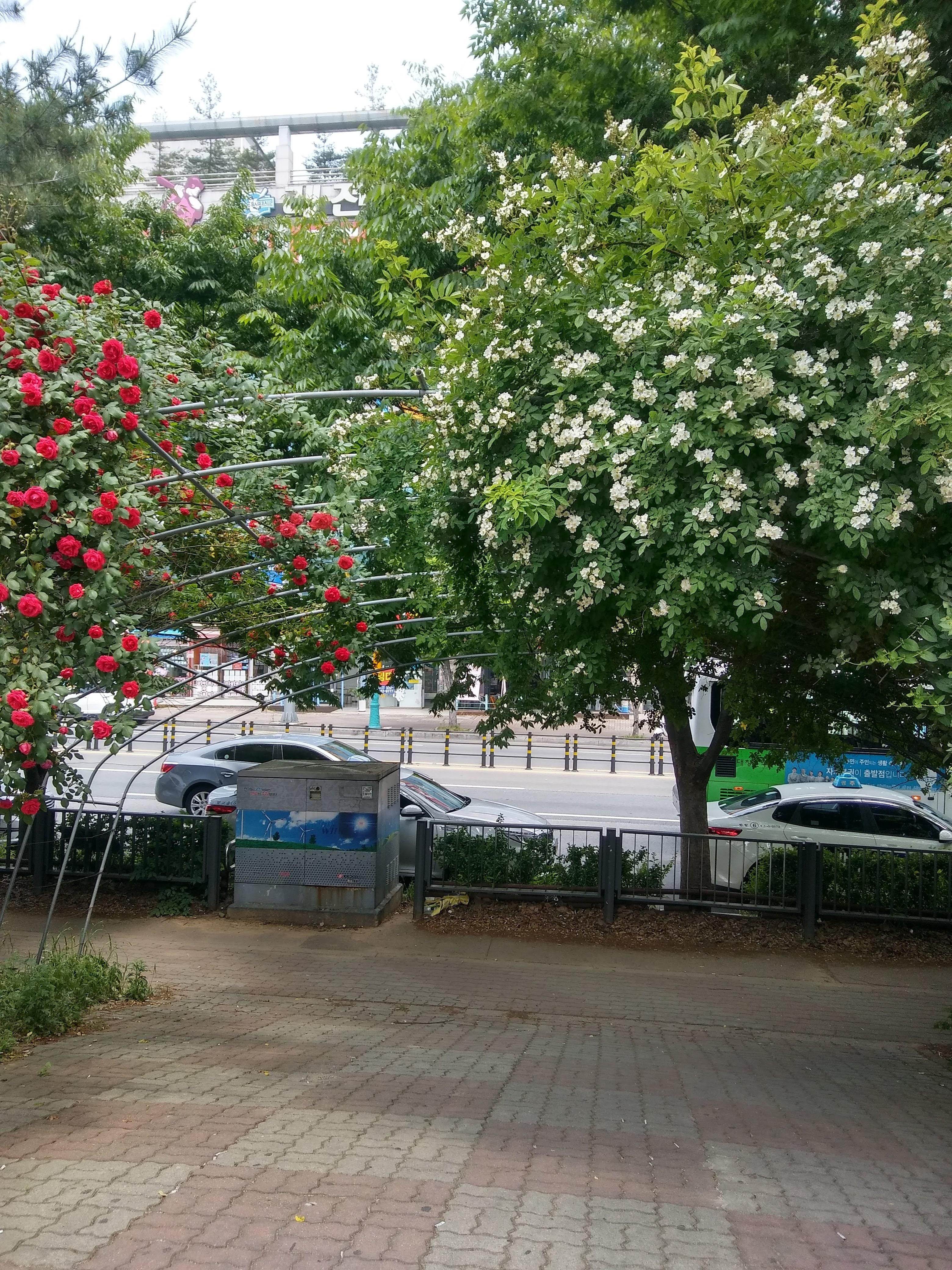 신창동 실거주자 사진 1