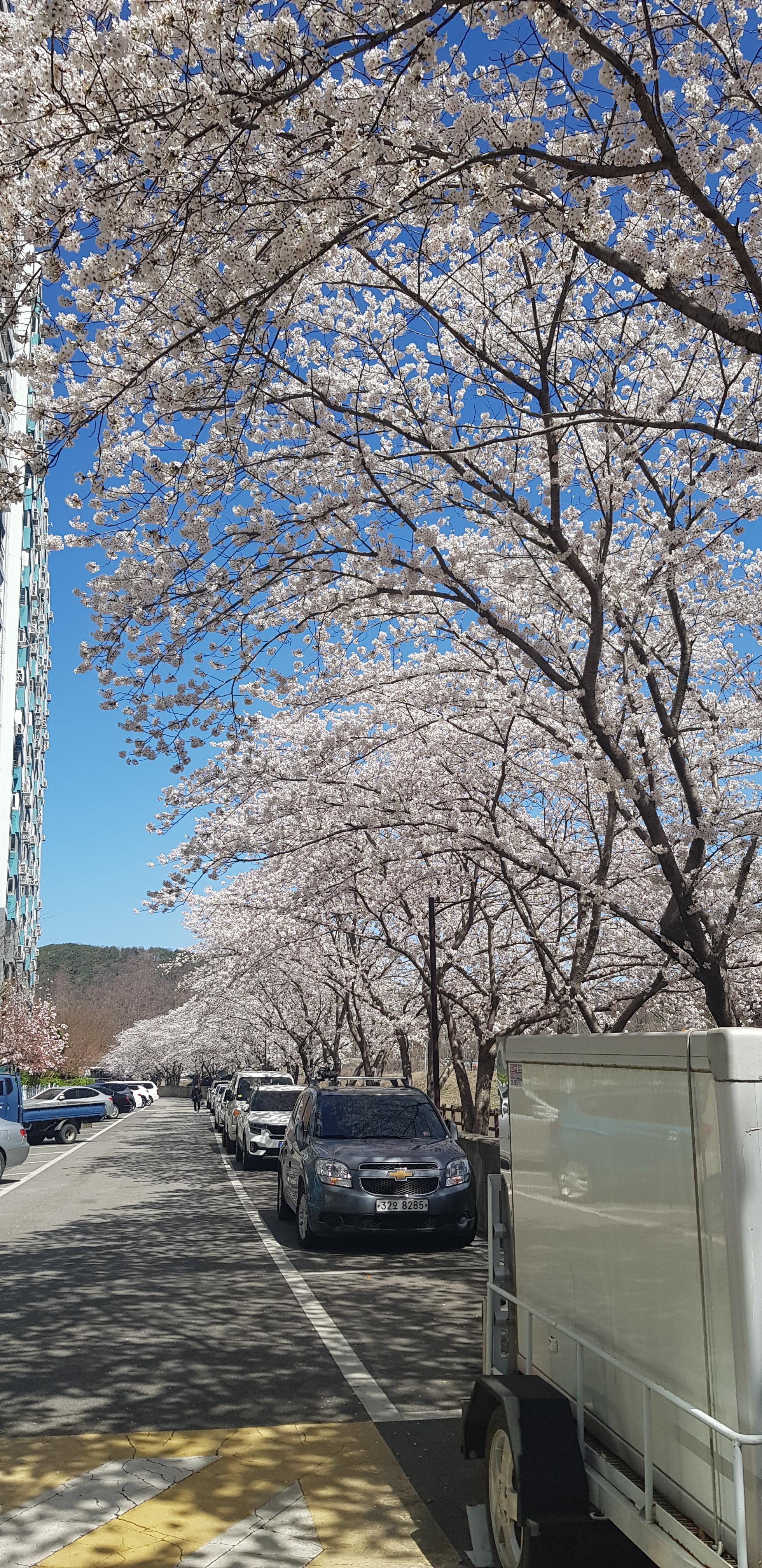 언양읍 실거주자 사진 2