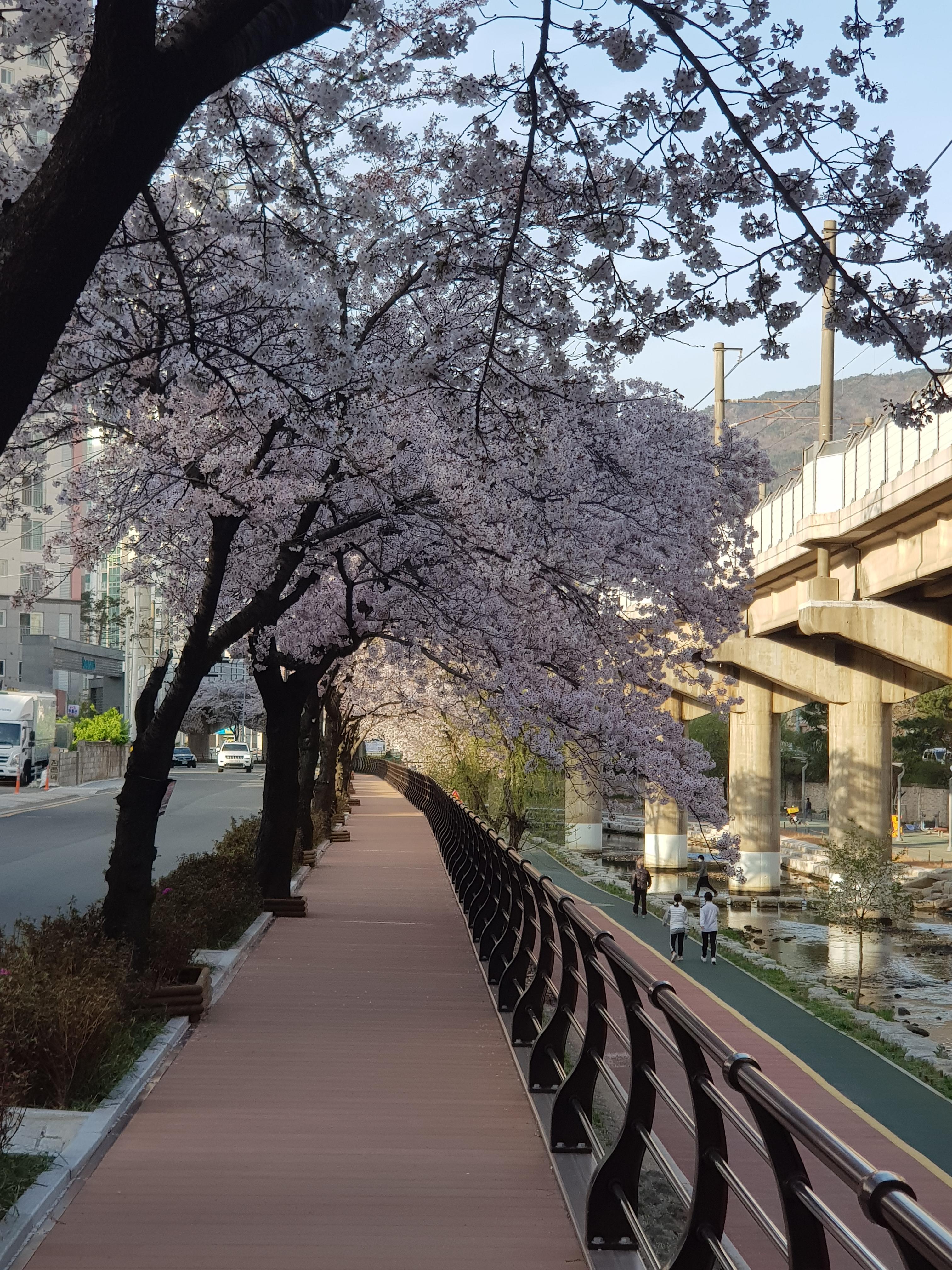 구서동 실거주자 사진 3